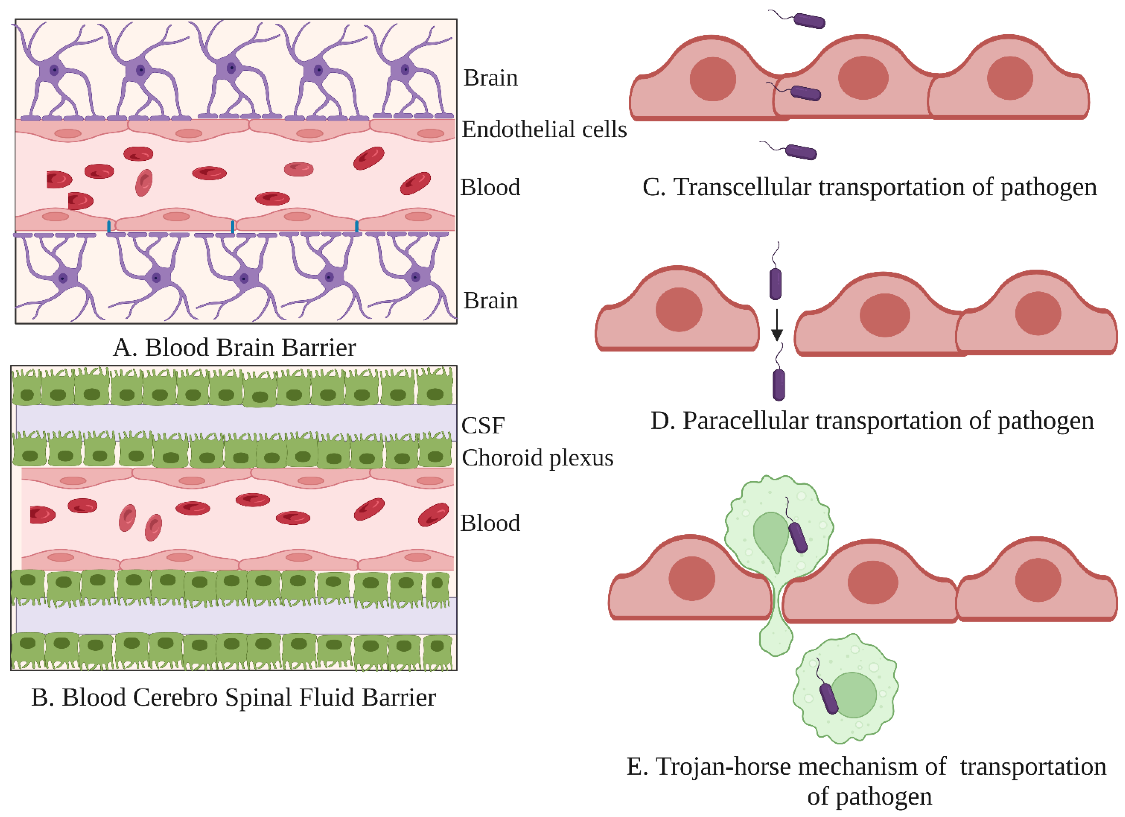 Microorganisms 10 01405 g002
