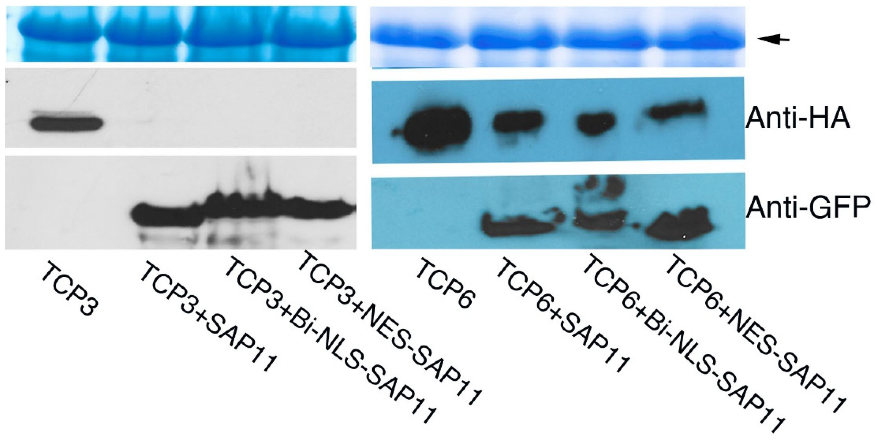 Microorganisms 10 01406 g003