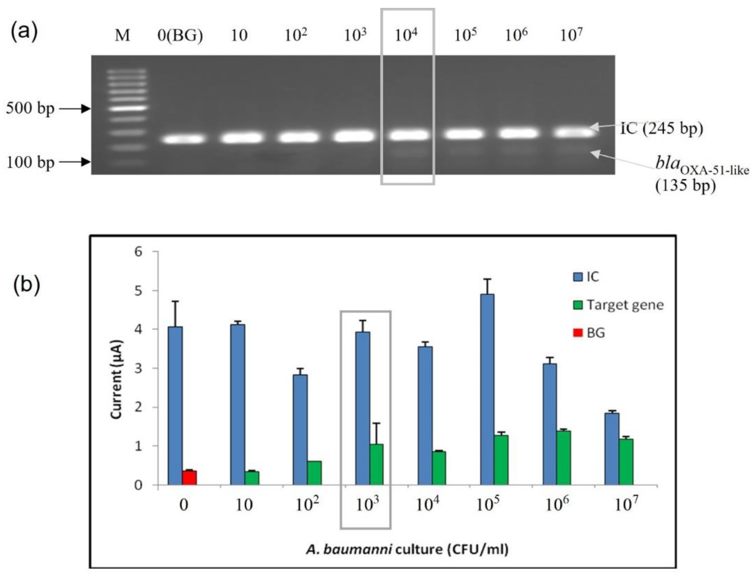 Microorganisms 10 01413 g004