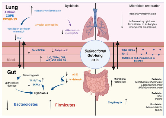 | Our Protecting the Probiotics: Gut Free from Microorganisms Health | Full-Text