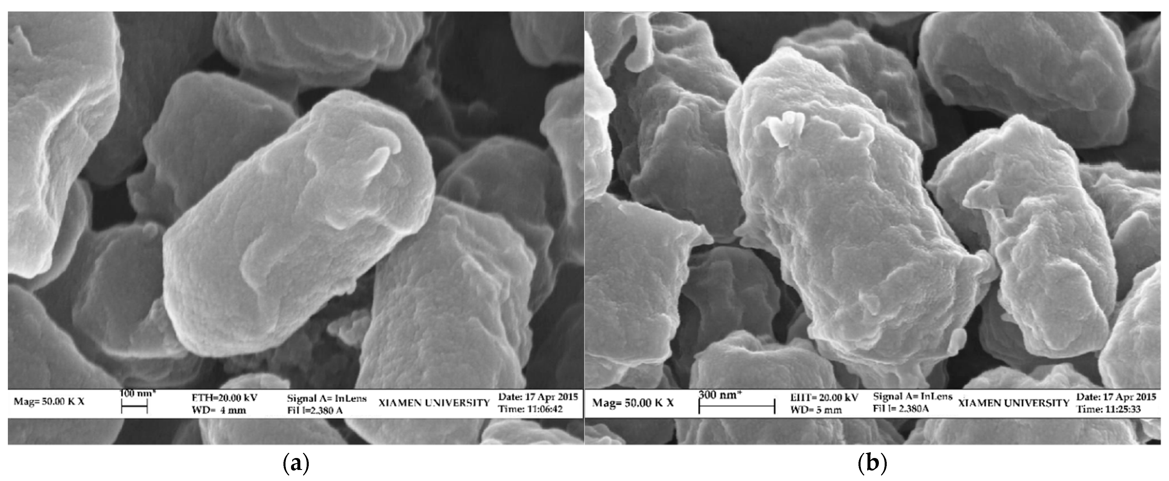 Microorganisms 10 01441 g004 Microorganisms 10 01441 g004