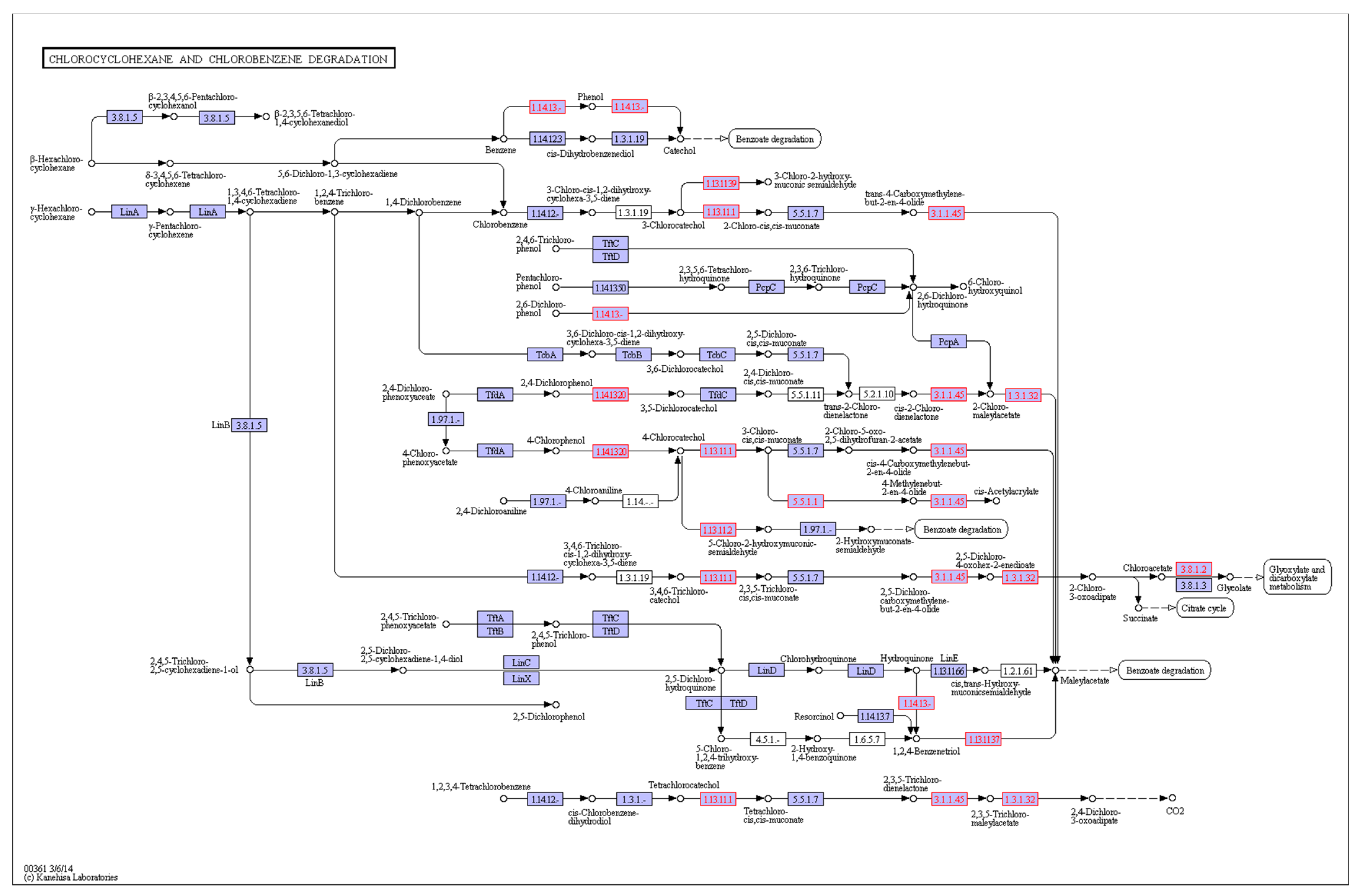 Microorganisms 10 01441 g008 Microorganisms 10 01441 g008