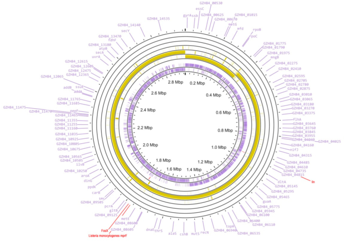 Microorganisms 10 01442 g001 Microorganisms 10 01442 g001