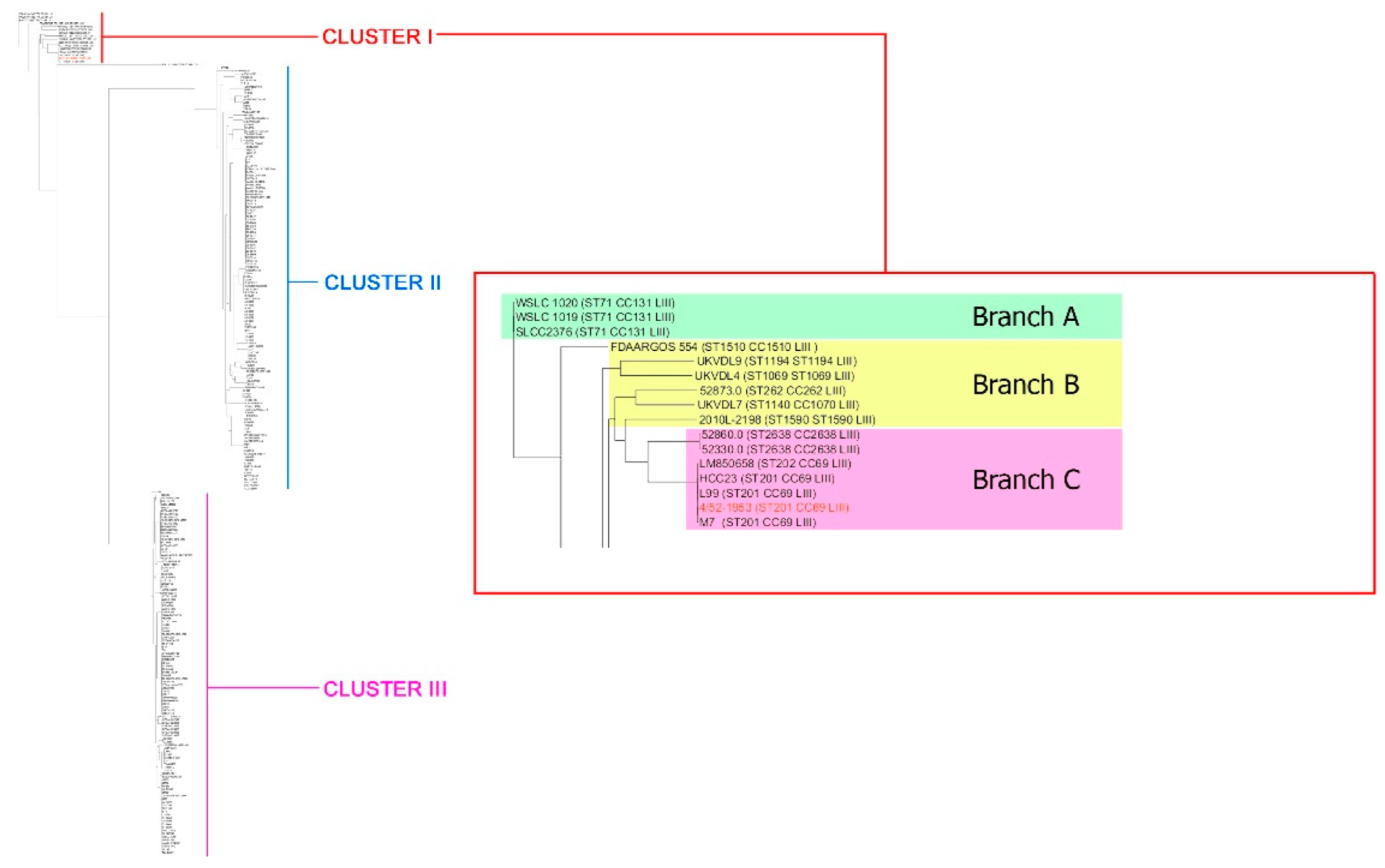 Microorganisms 10 01442 g002 Microorganisms 10 01442 g002