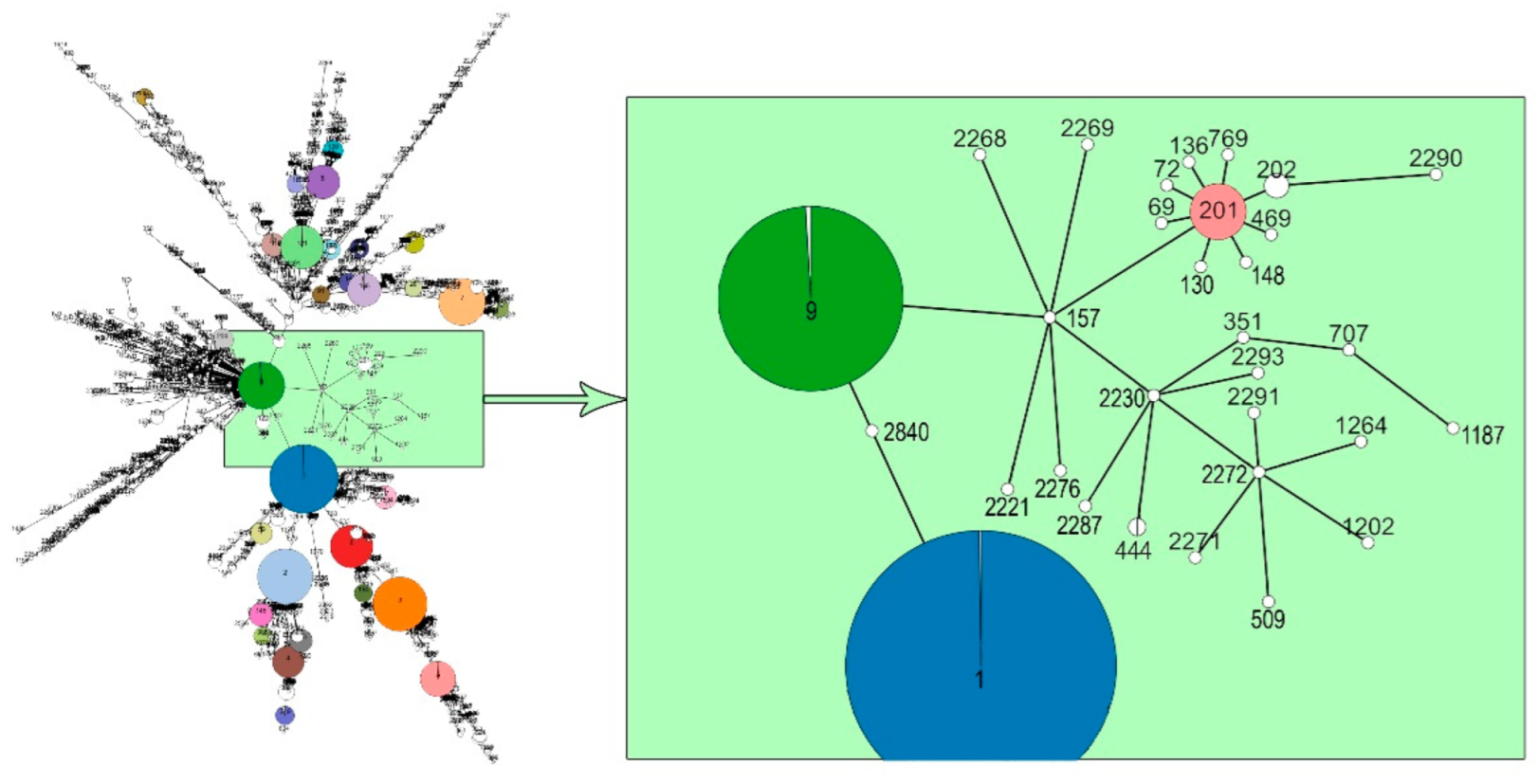 Microorganisms 10 01442 g003 Microorganisms 10 01442 g003