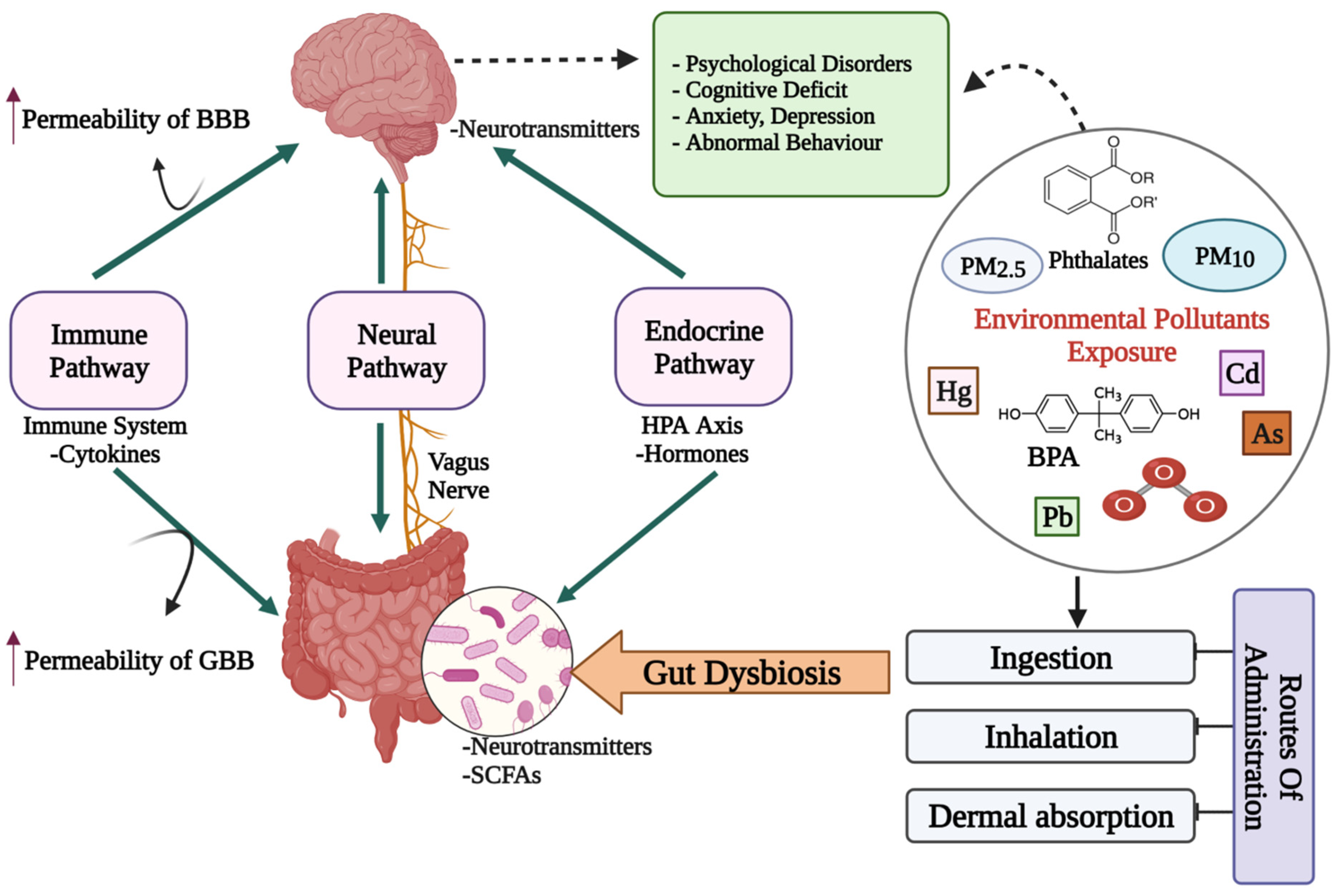 Microorganisms | Free Full-Text | Impact of Environmental Pollutants on Gut  Microbiome and Mental Health via the Gut&ndash;Brain Axis