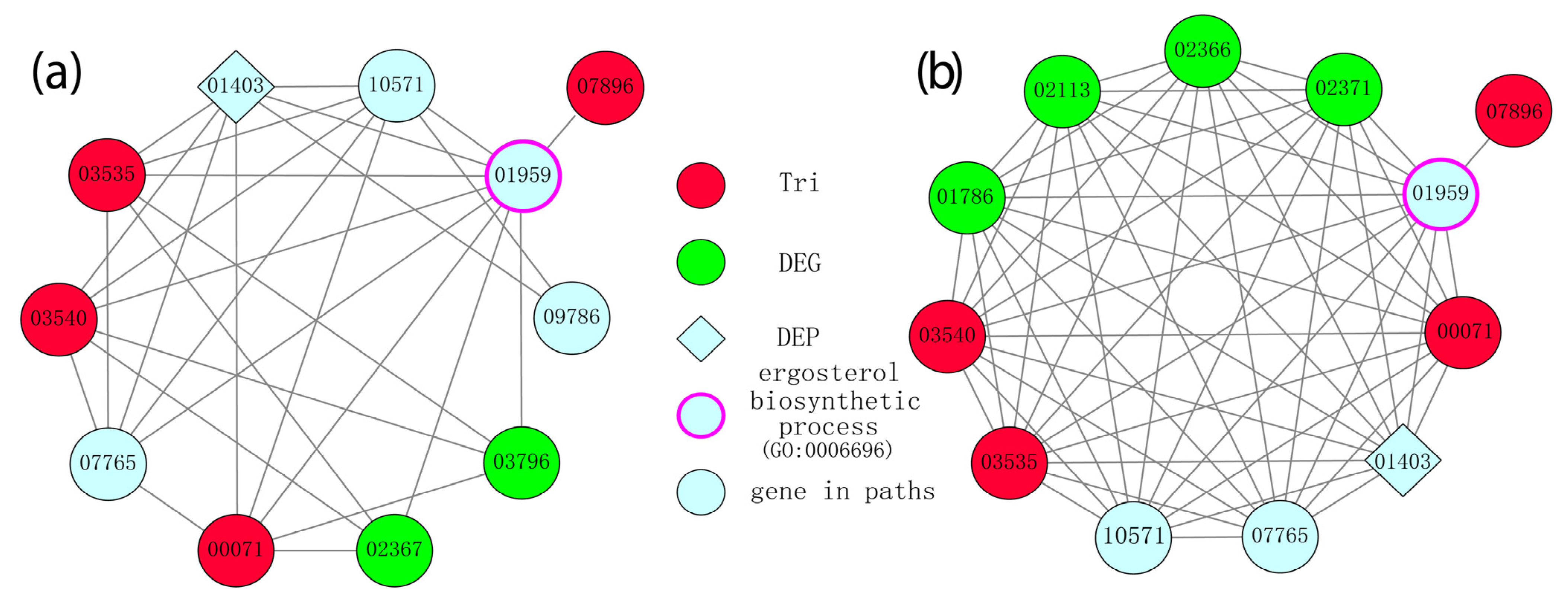 Microorganisms 10 01479 g006 Microorganisms 10 01479 g006