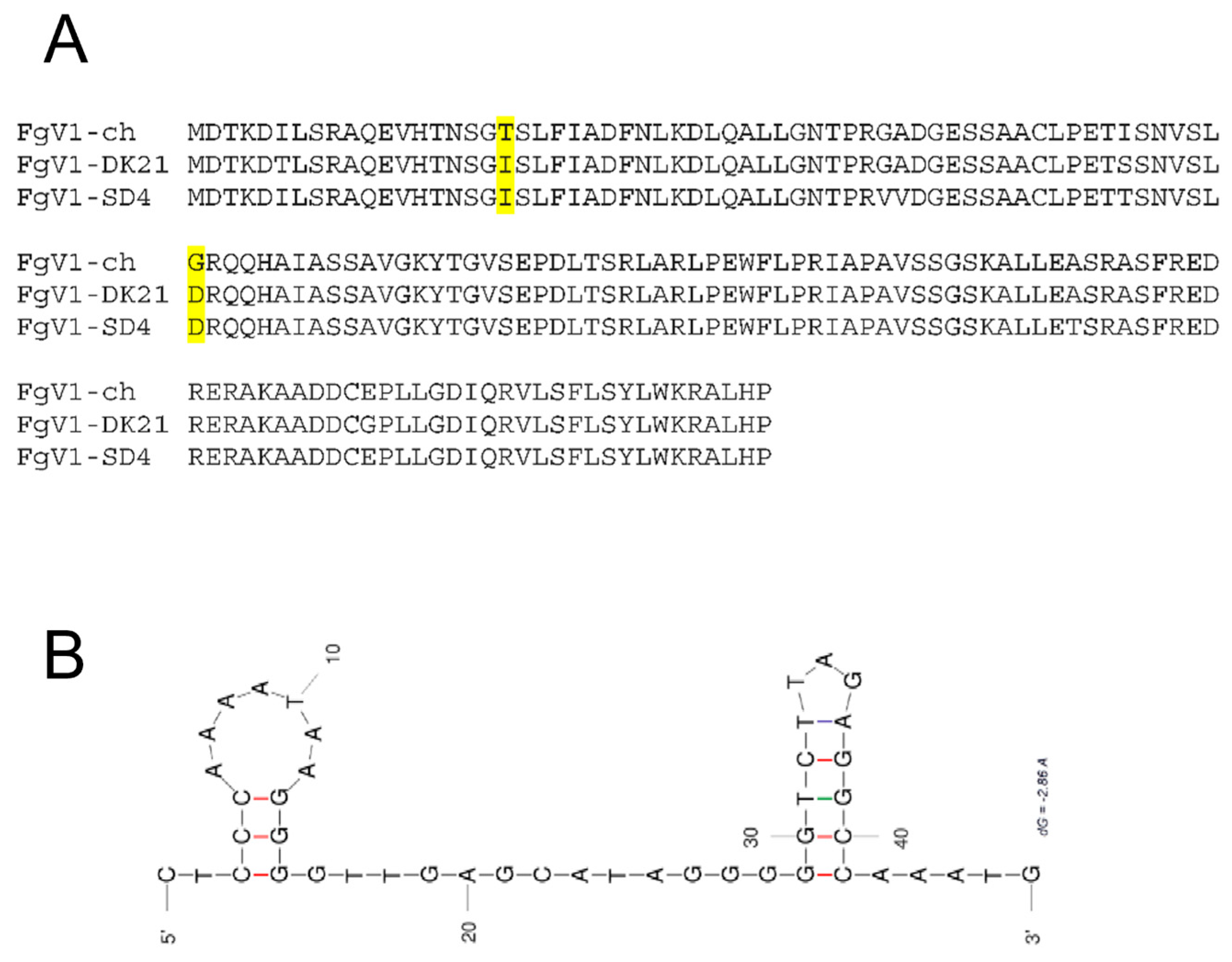 Microorganisms 10 01484 g002
