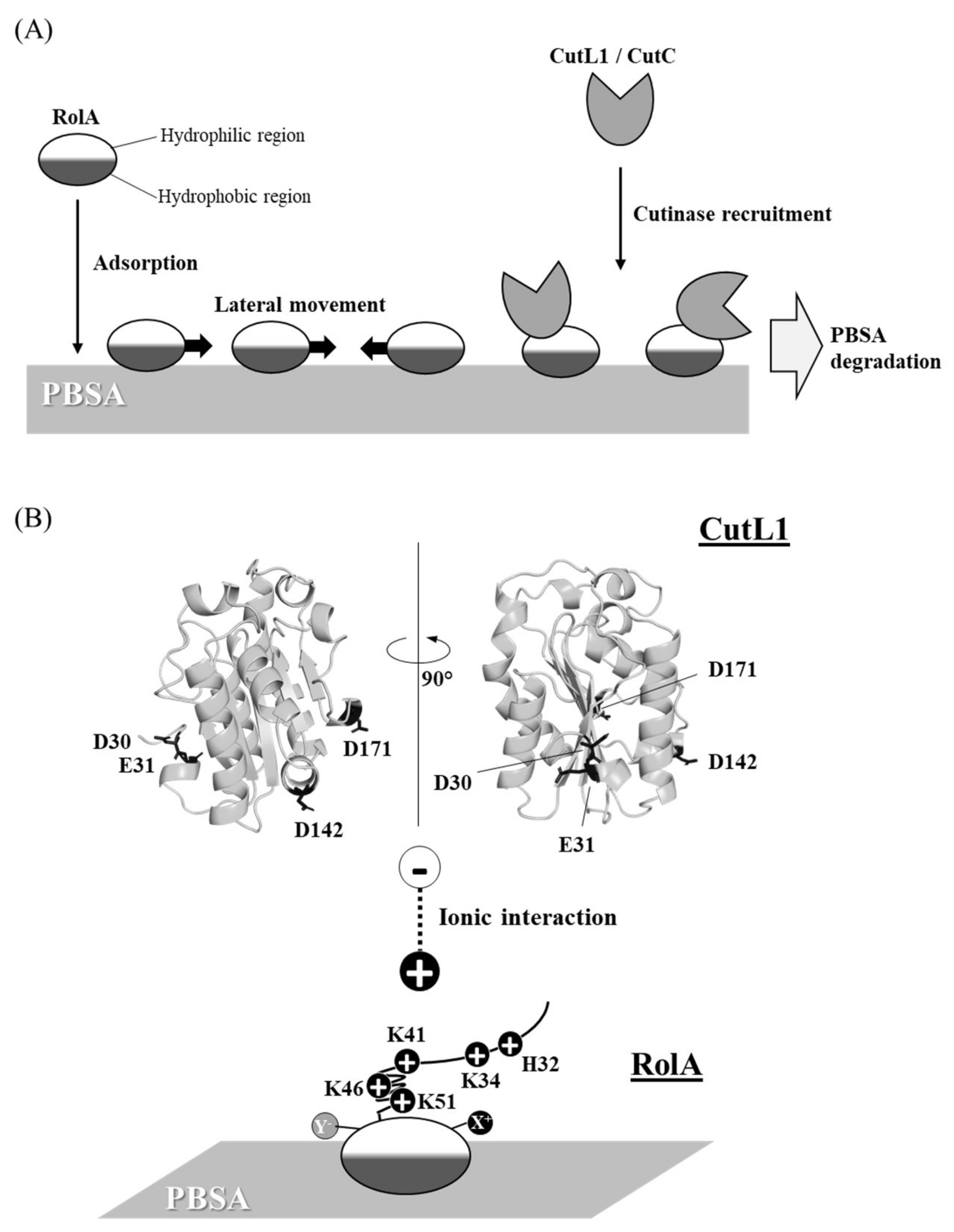 Microorganisms 10 01498 g003