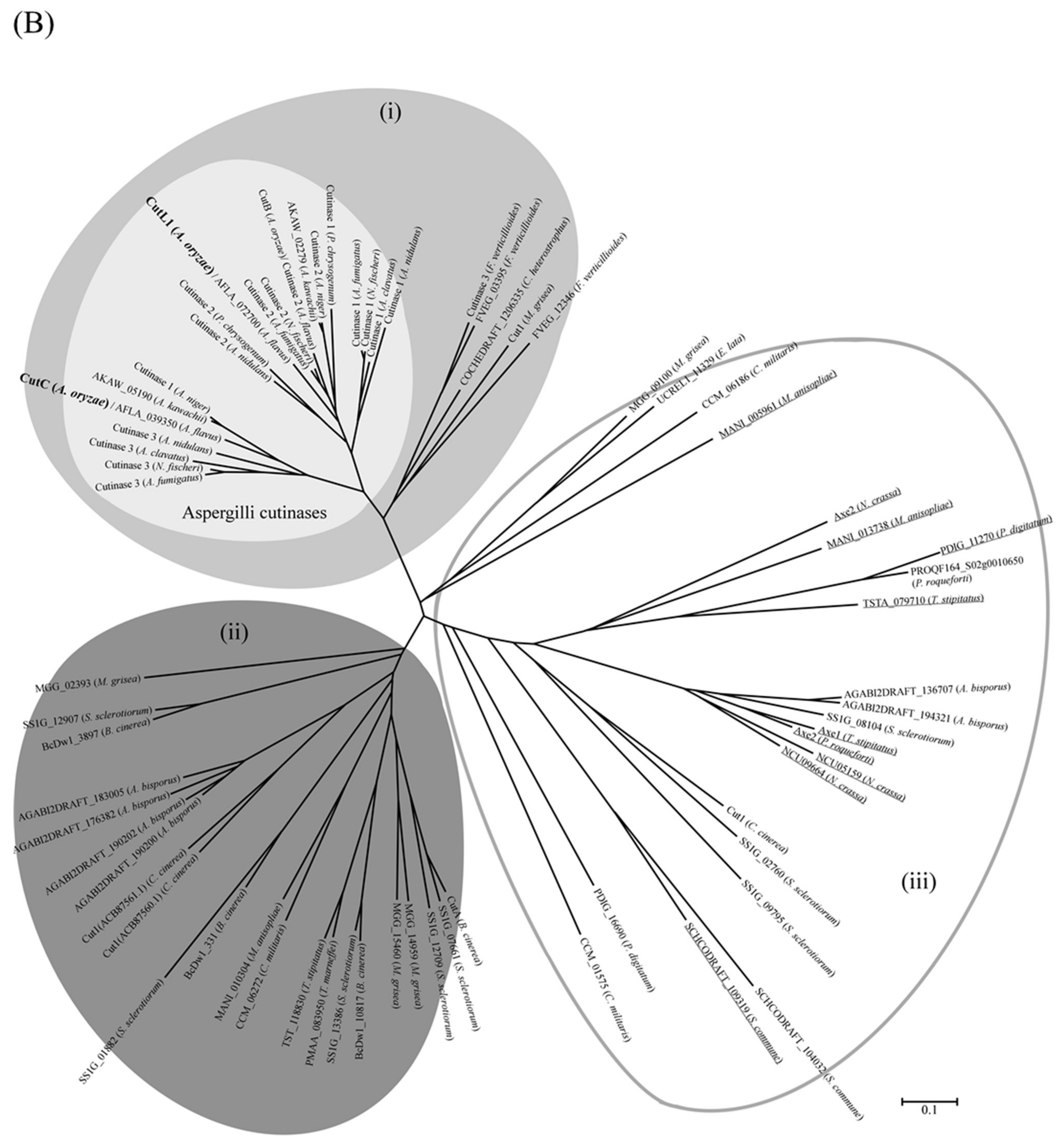 Microorganisms 10 01498 g006b