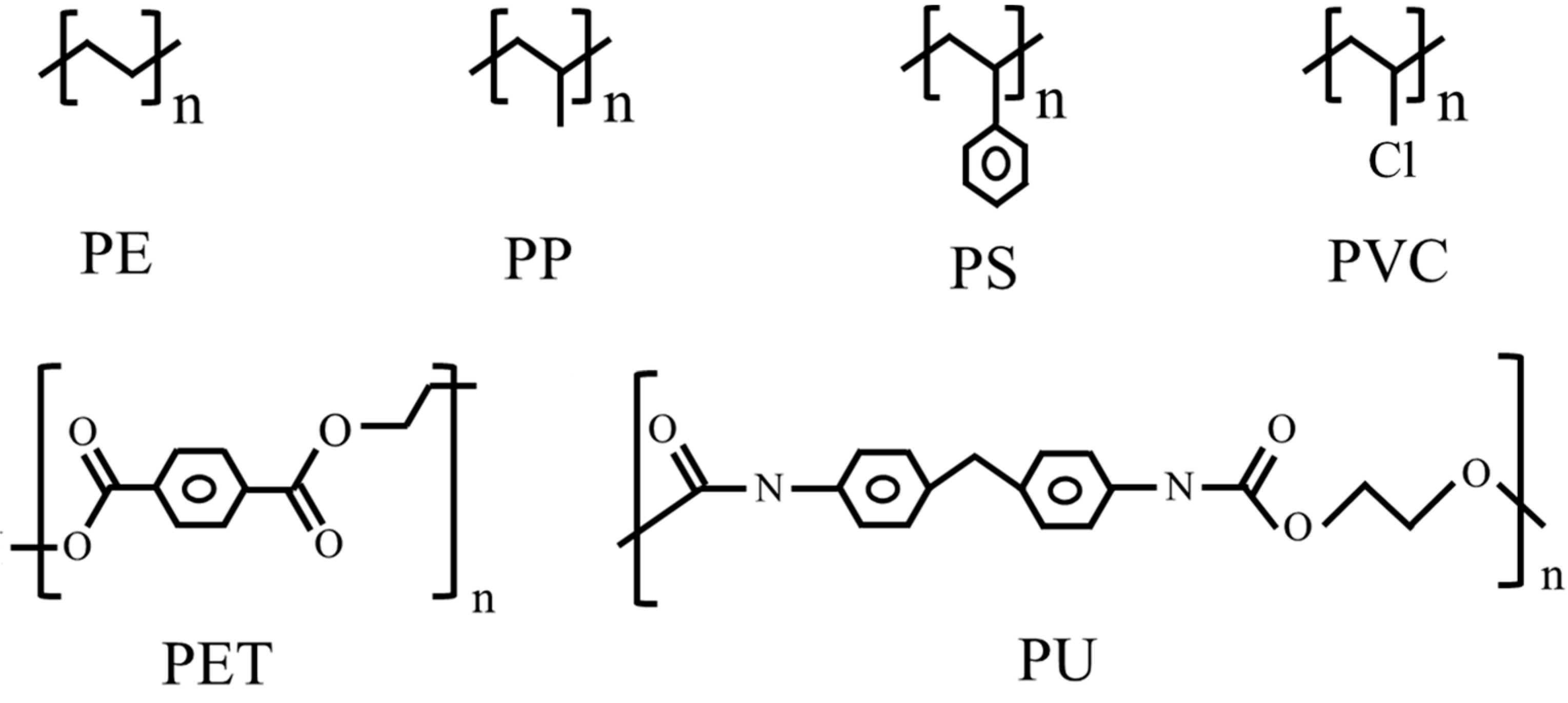 Microorganisms 10 01537 g001