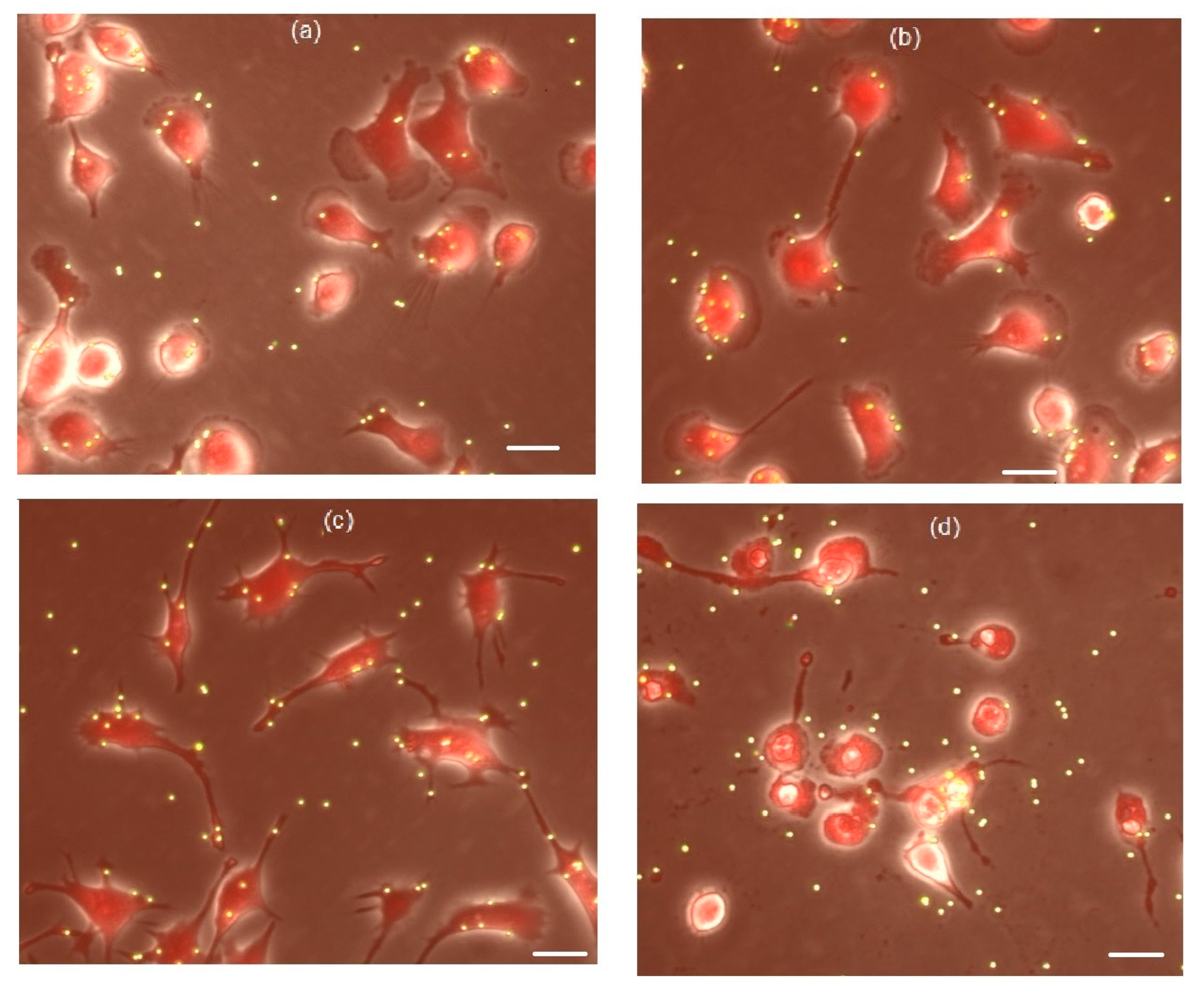 Microorganisms 10 01538 g005