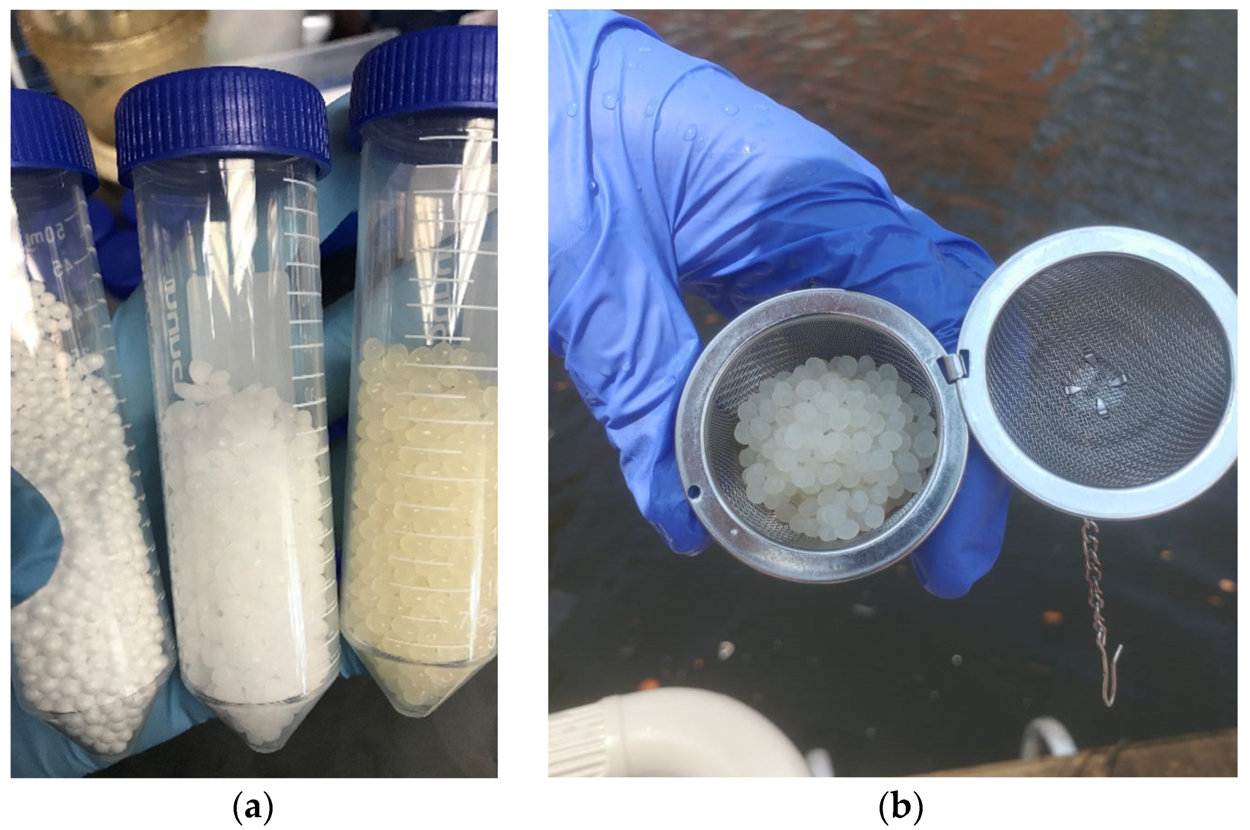 Microorganisms 10 01543 g001