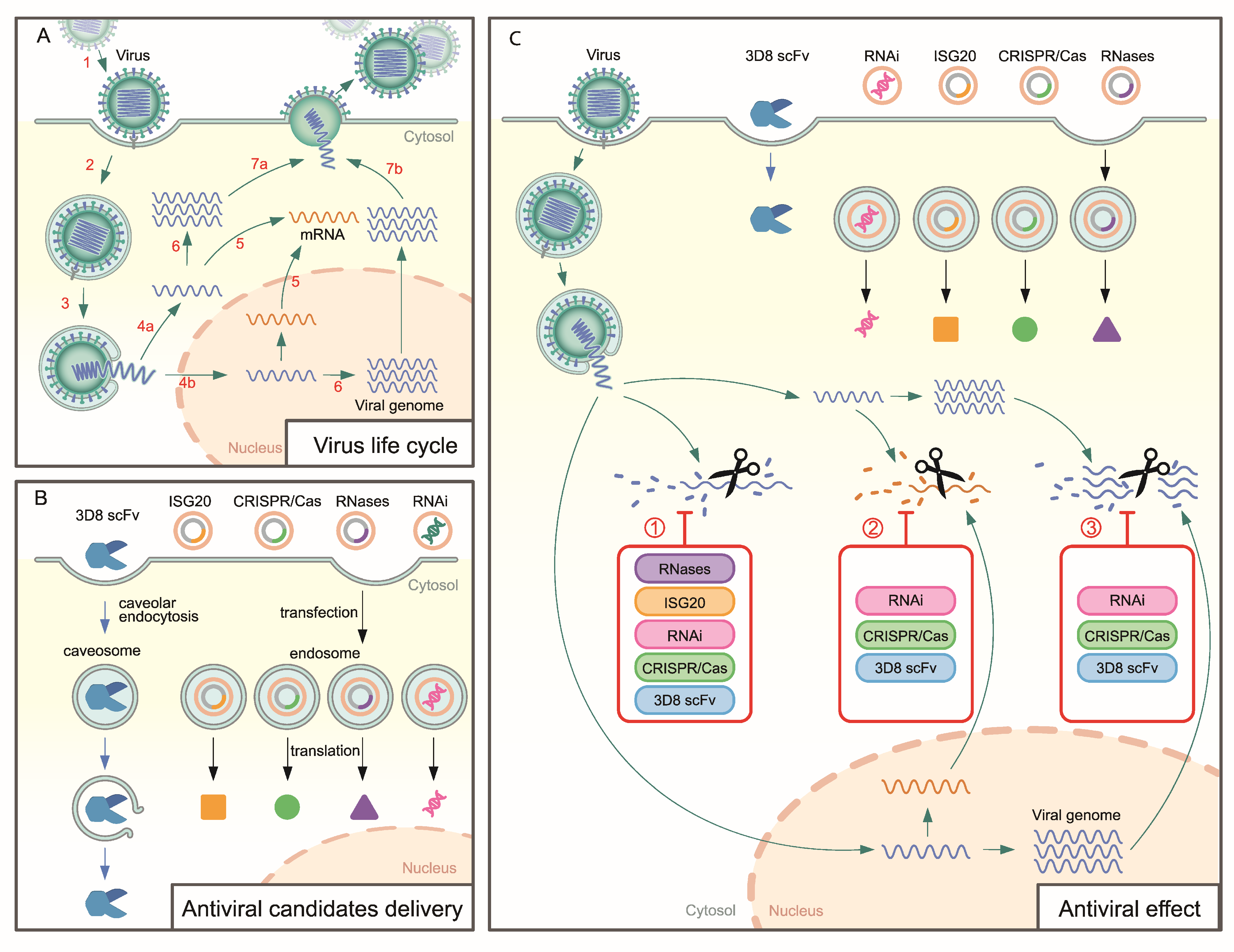 Microorganisms 10 01552 g001