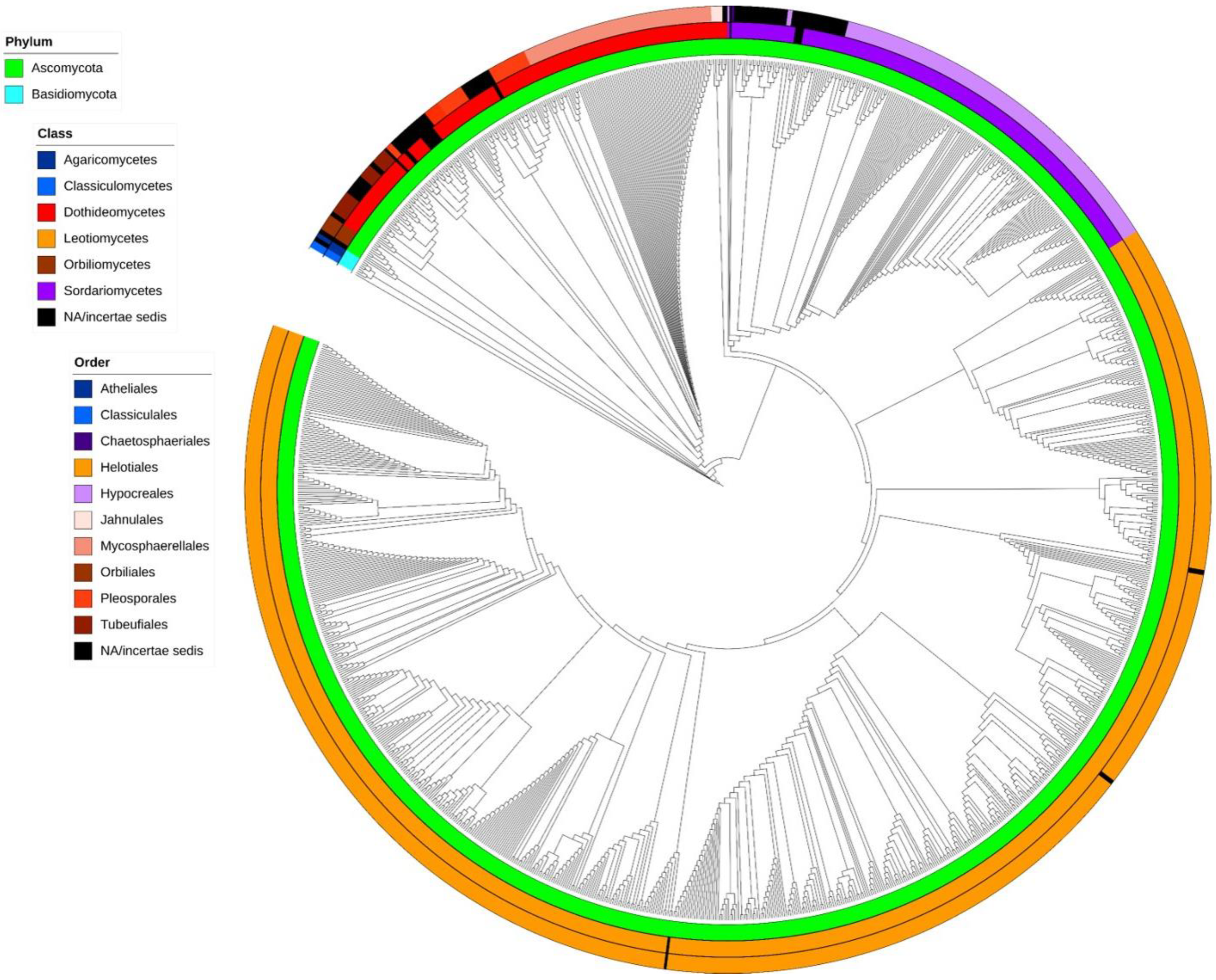 Microorganisms 10 01569 g002 Microorganisms 10 01569 g002