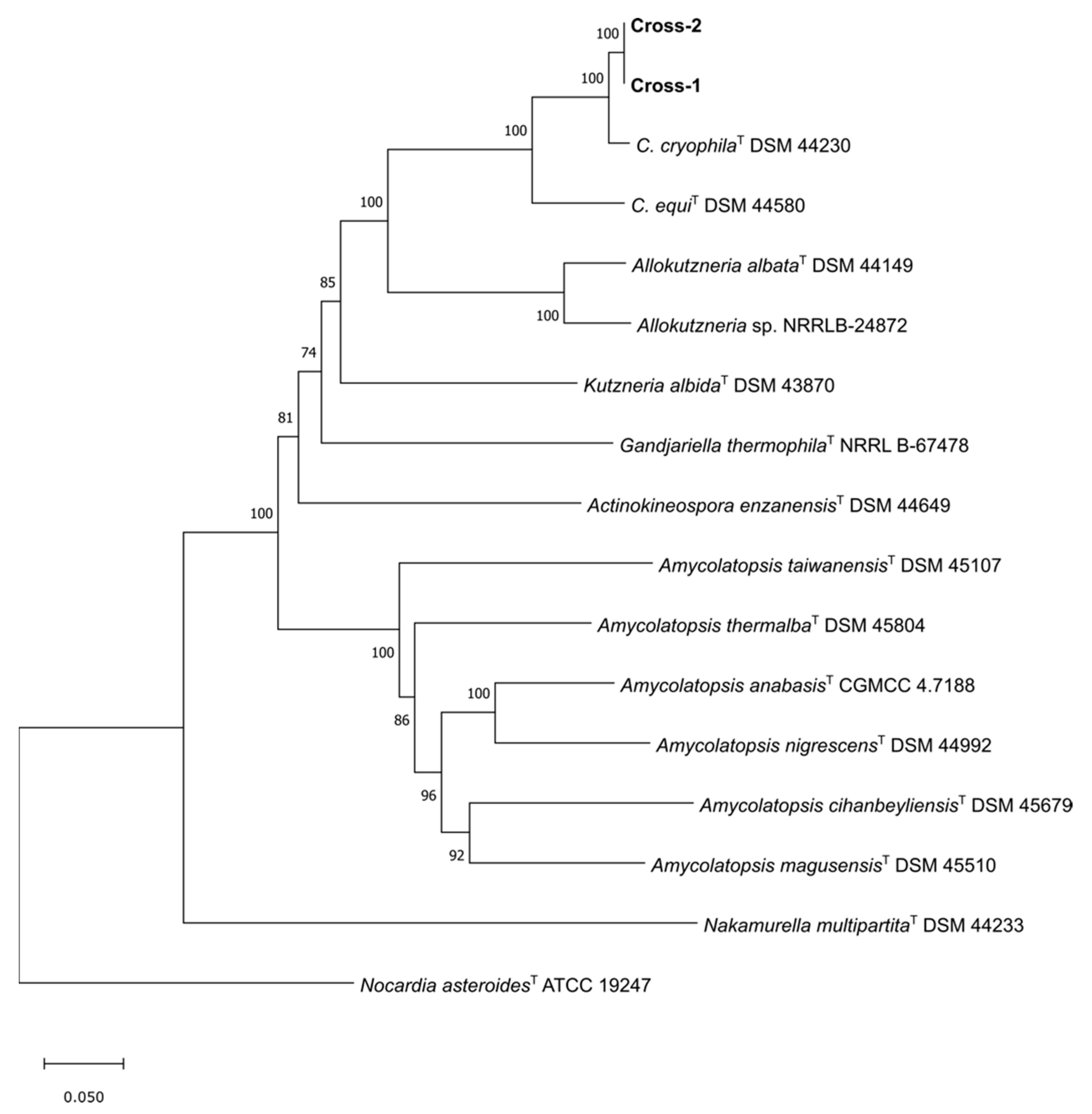 Microorganisms 10 01575 g004