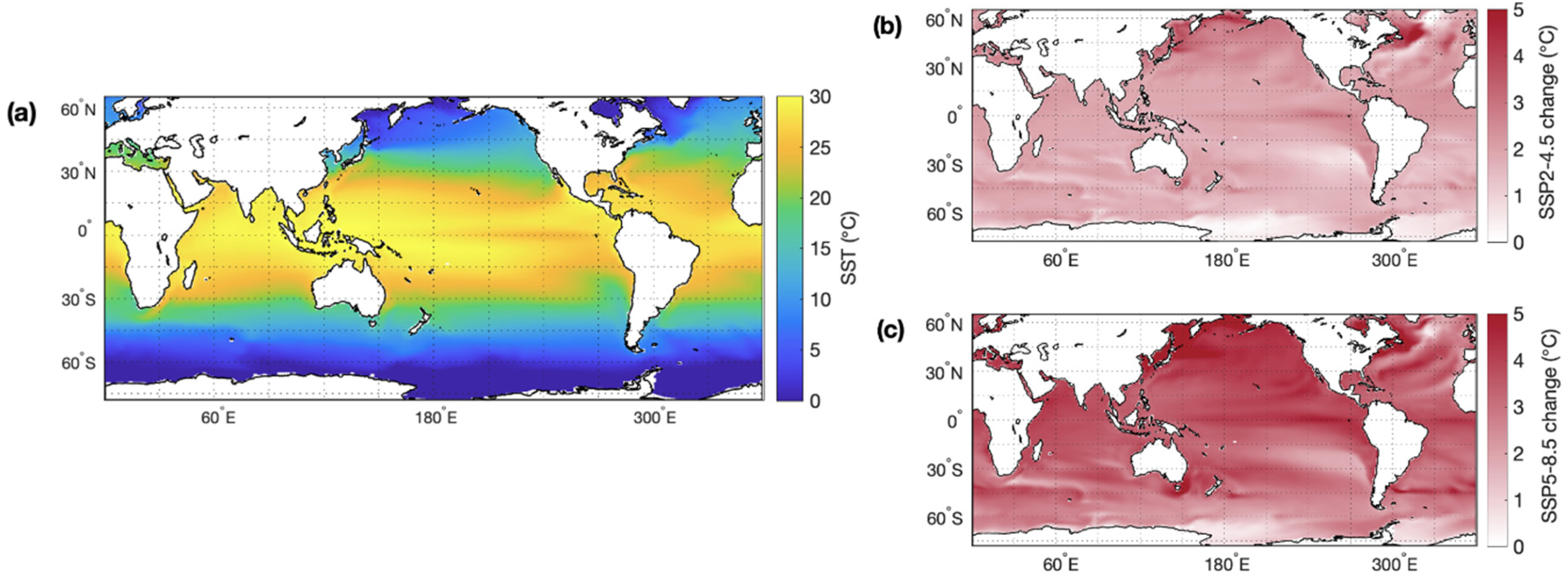 Microorganisms 10 01581 g002
