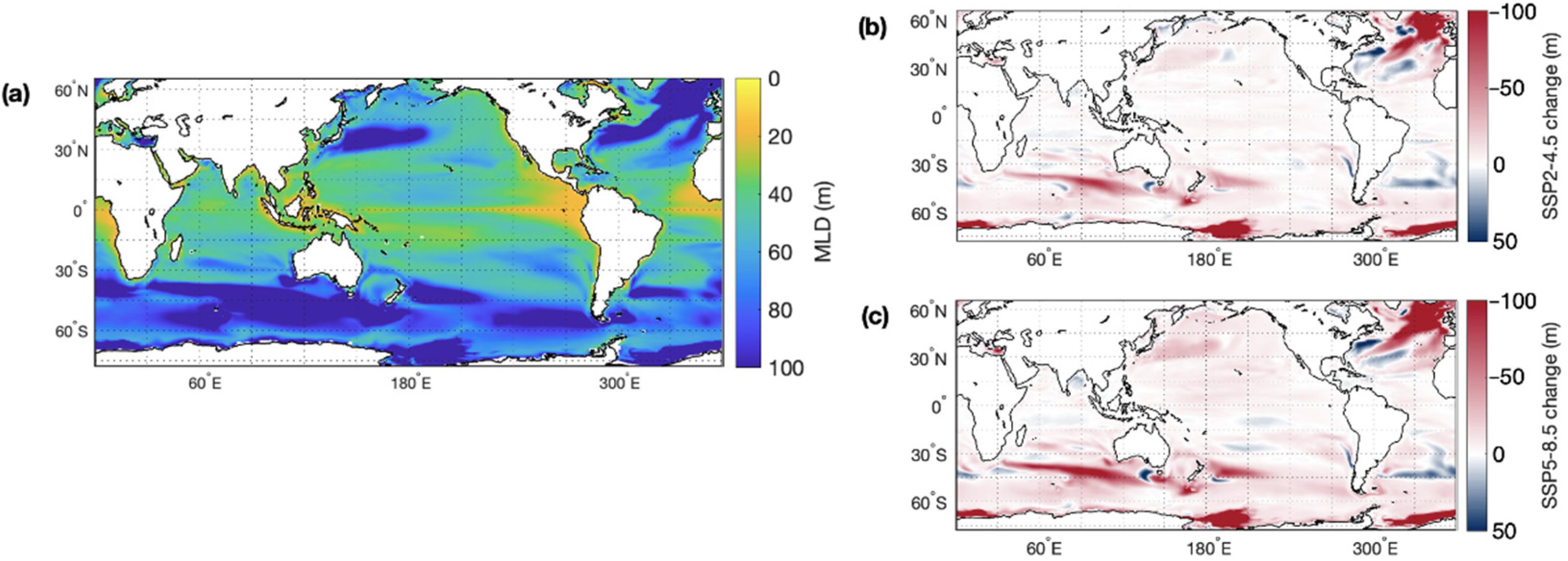Microorganisms 10 01581 g003