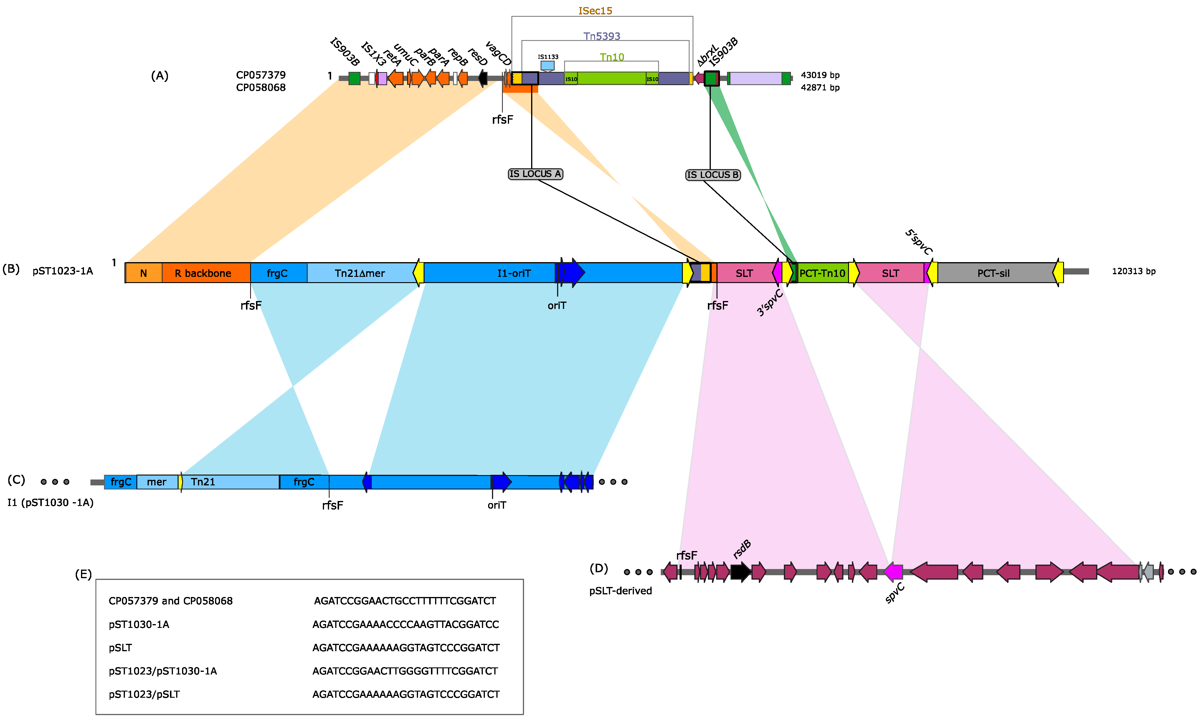 Microorganisms 10 01592 g002