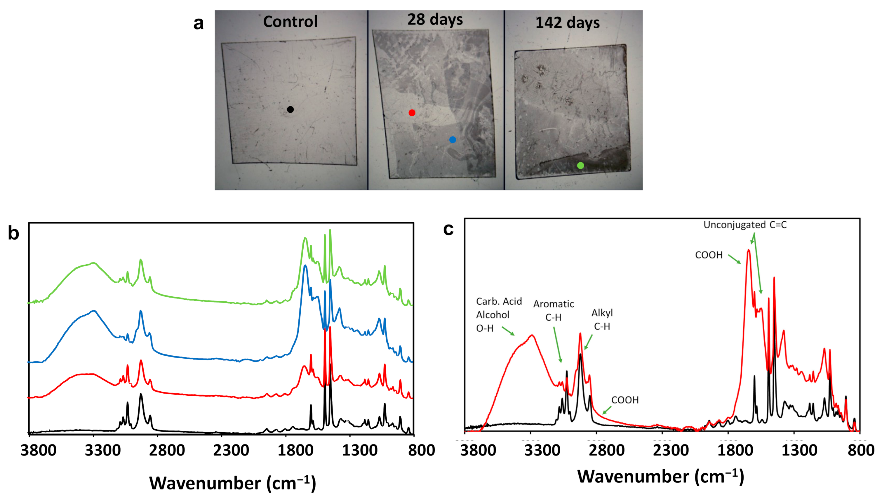 Microorganisms 10 01619 g006