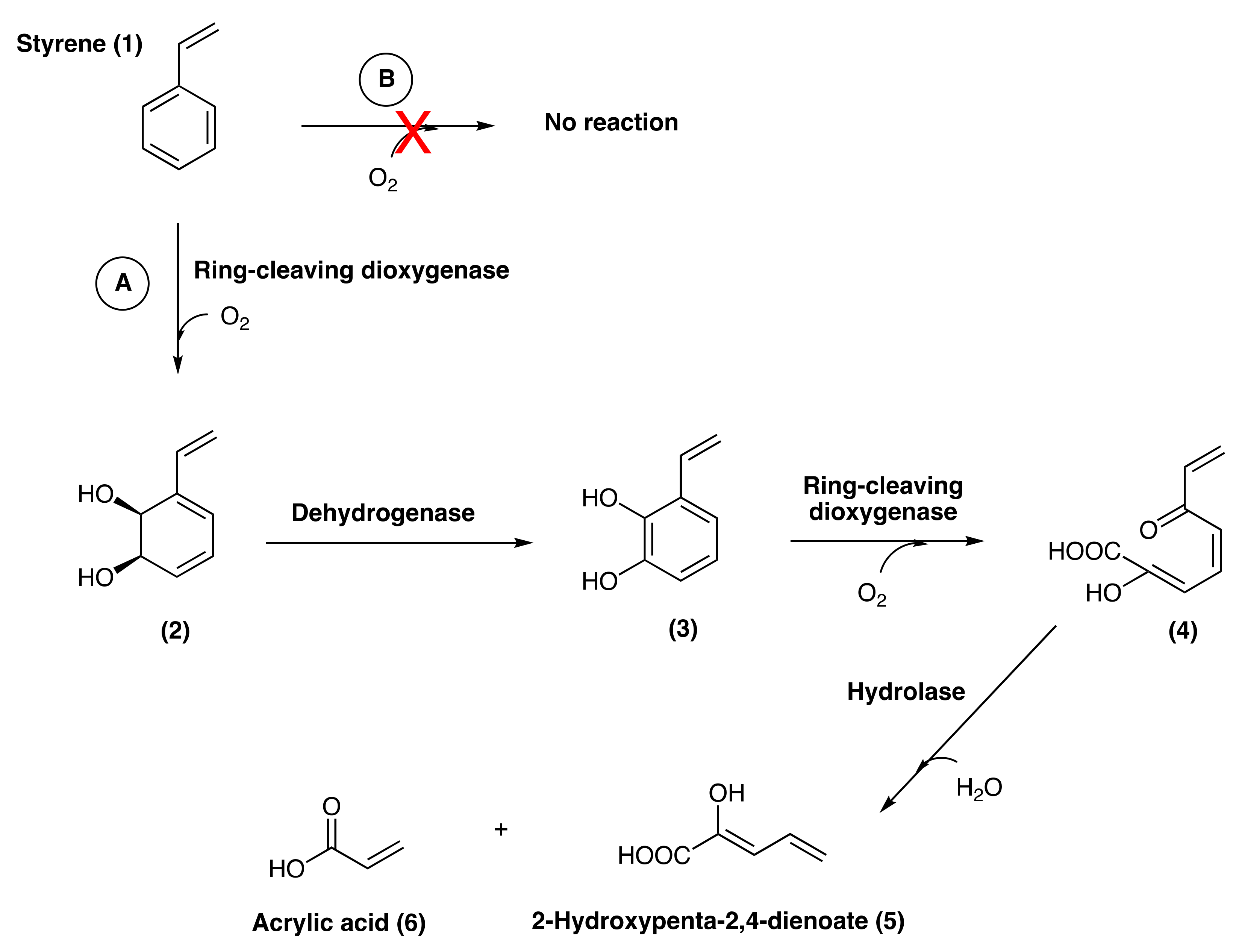 Microorganisms 10 01619 g008