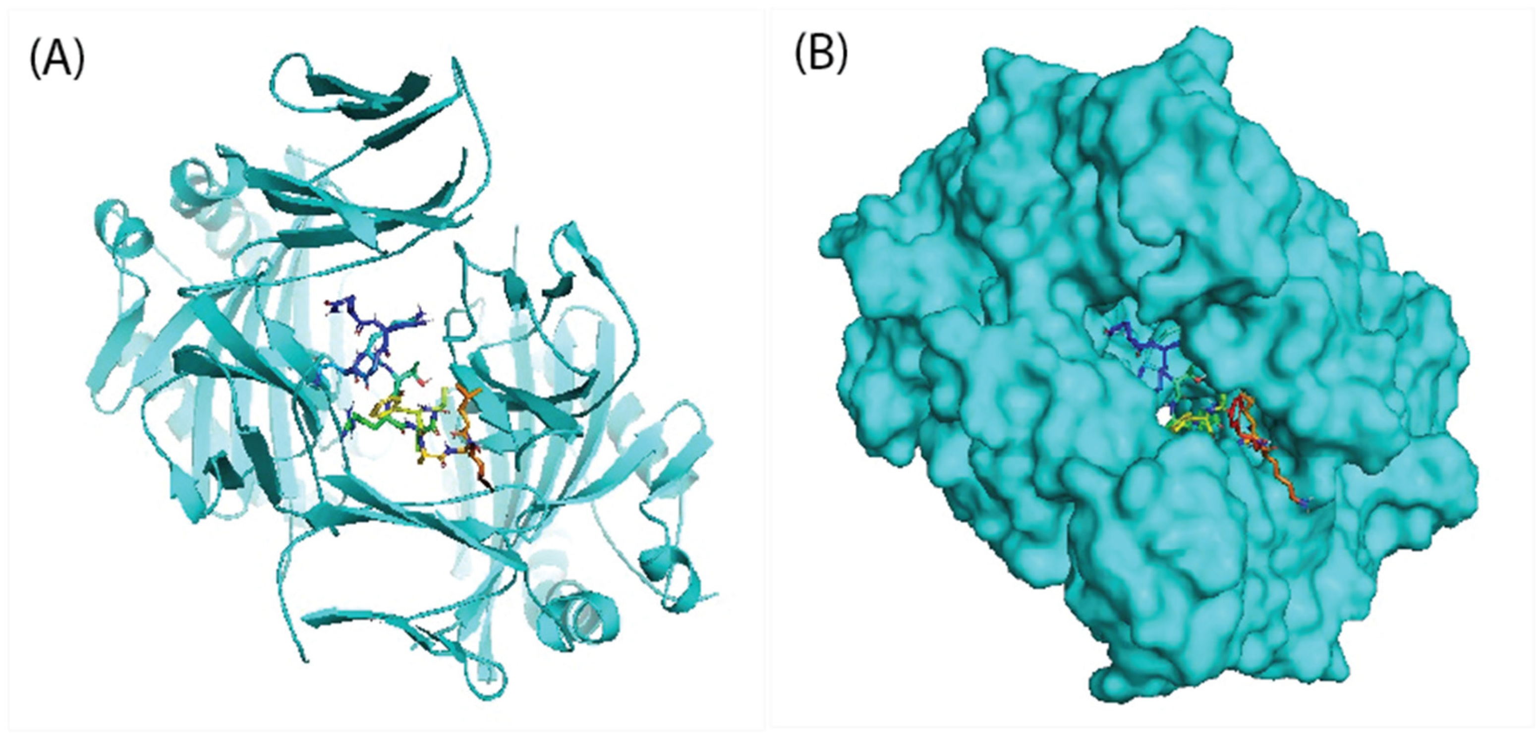 Microorganisms 10 01621 g001