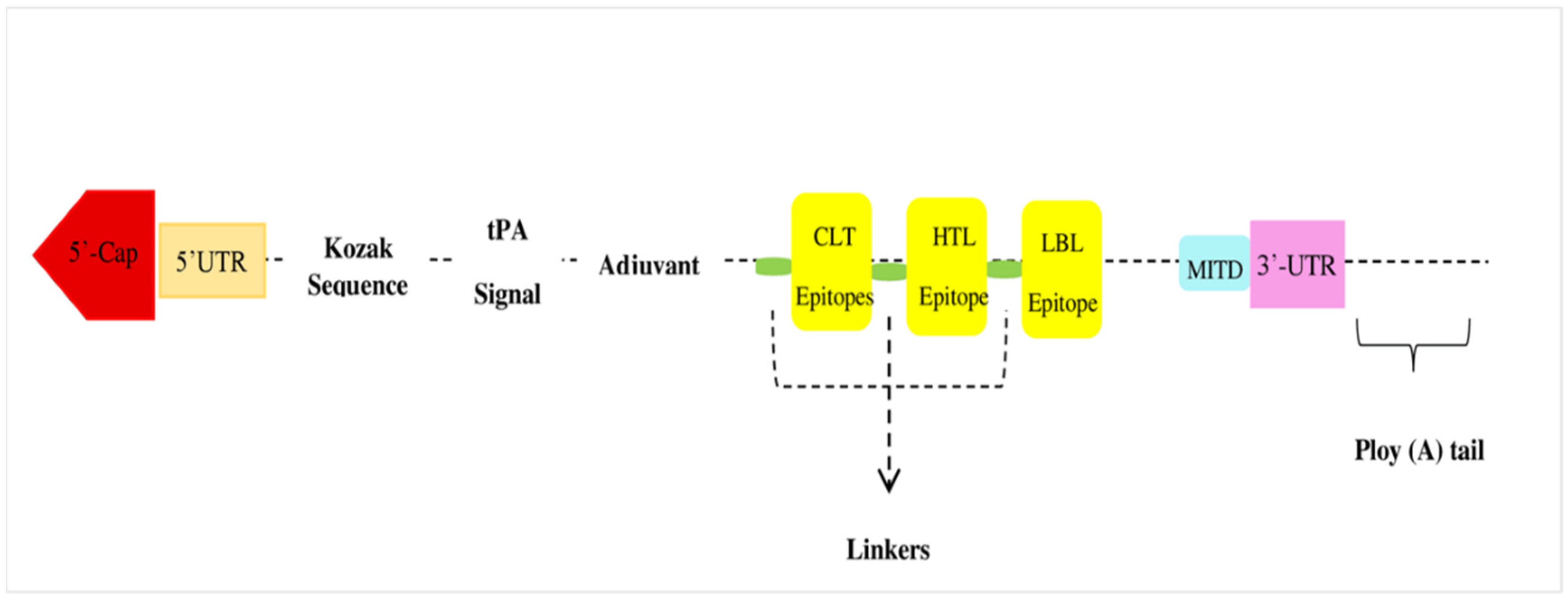 Microorganisms 10 01621 g003