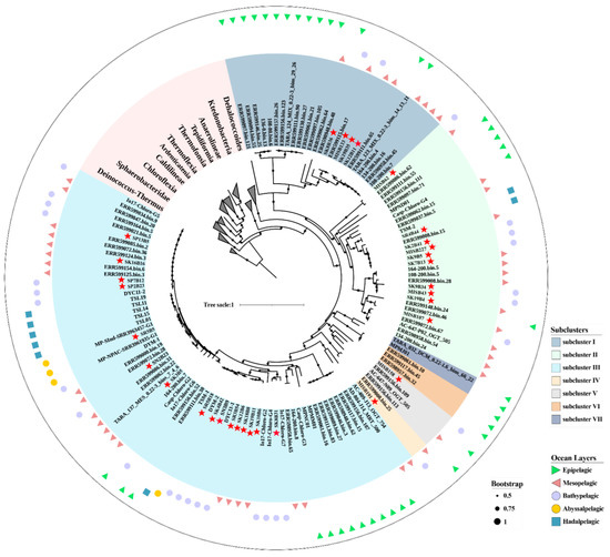 Microorganisms | Free Full-Text | In Situ Genomics and Transcriptomics ...