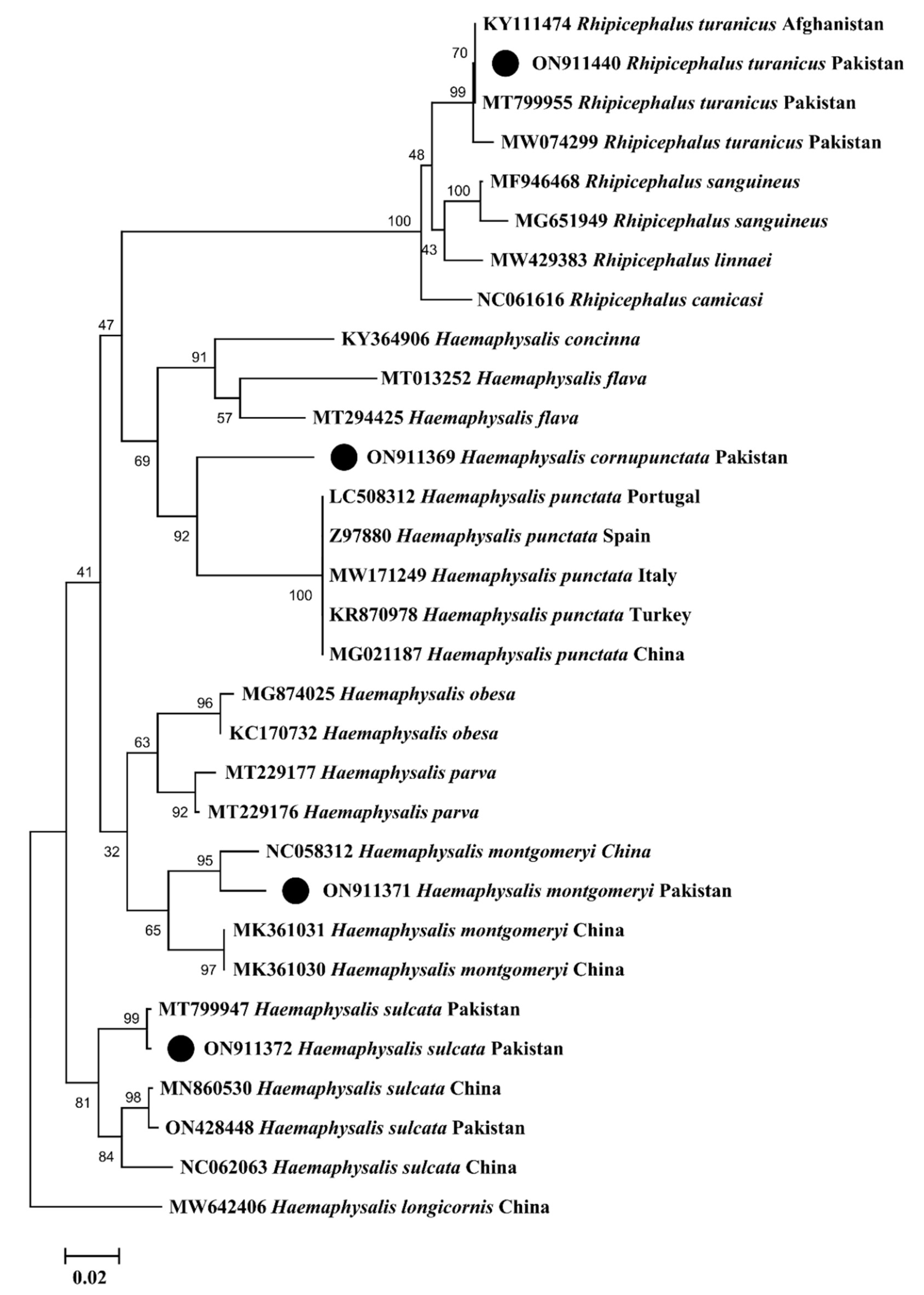 Microorganisms 10 01663 g006