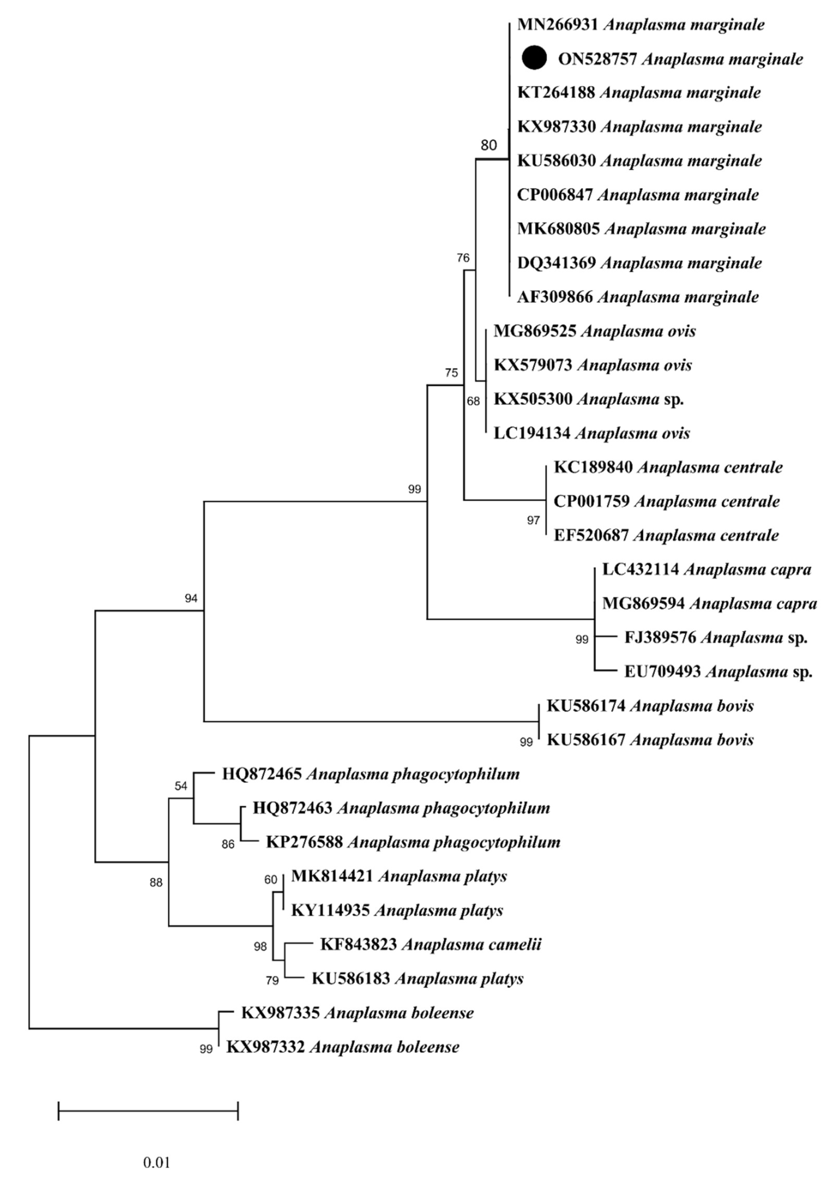Microorganisms 10 01663 g007