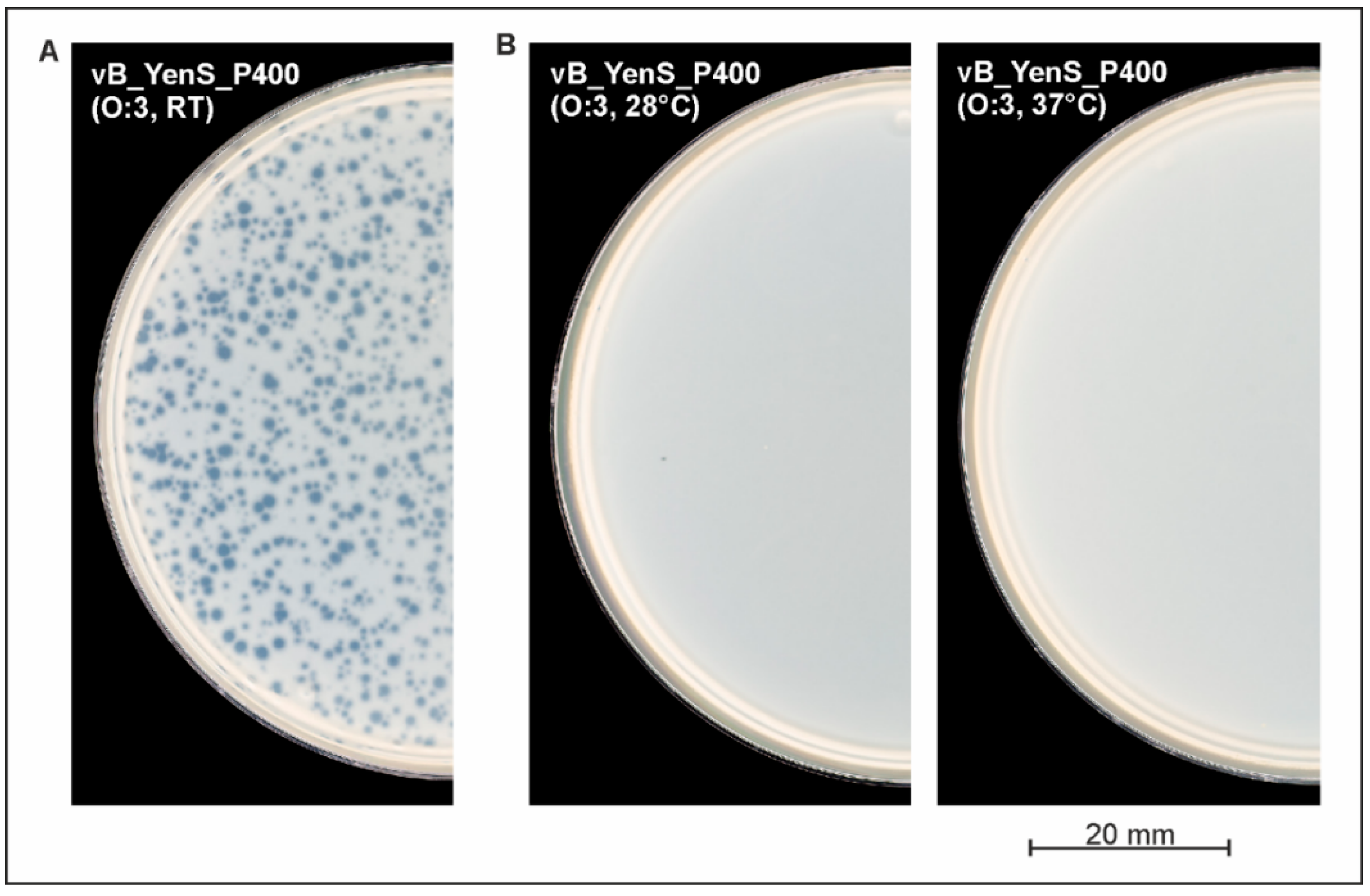 Microorganisms 10 01674 g002 Microorganisms 10 01674 g002