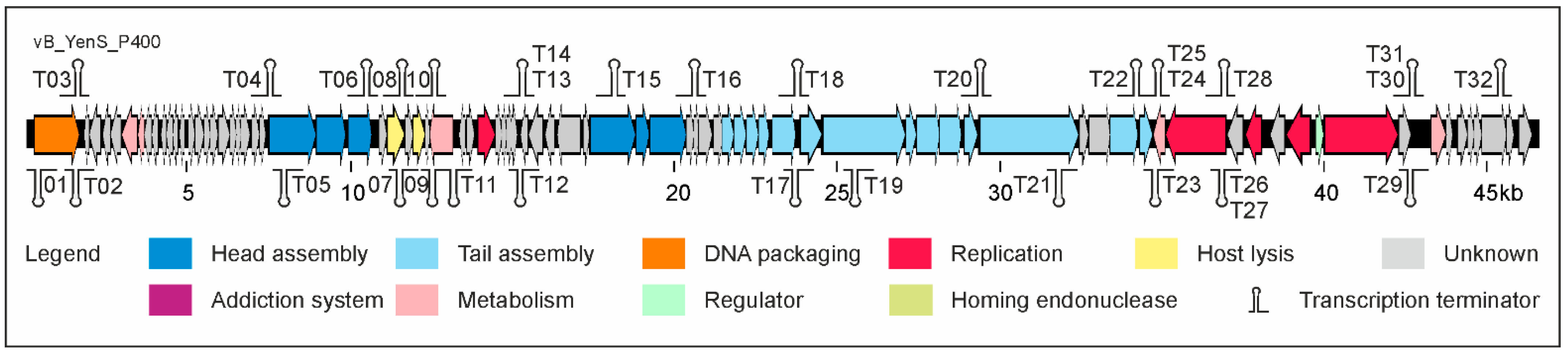 Microorganisms 10 01674 g003 Microorganisms 10 01674 g003