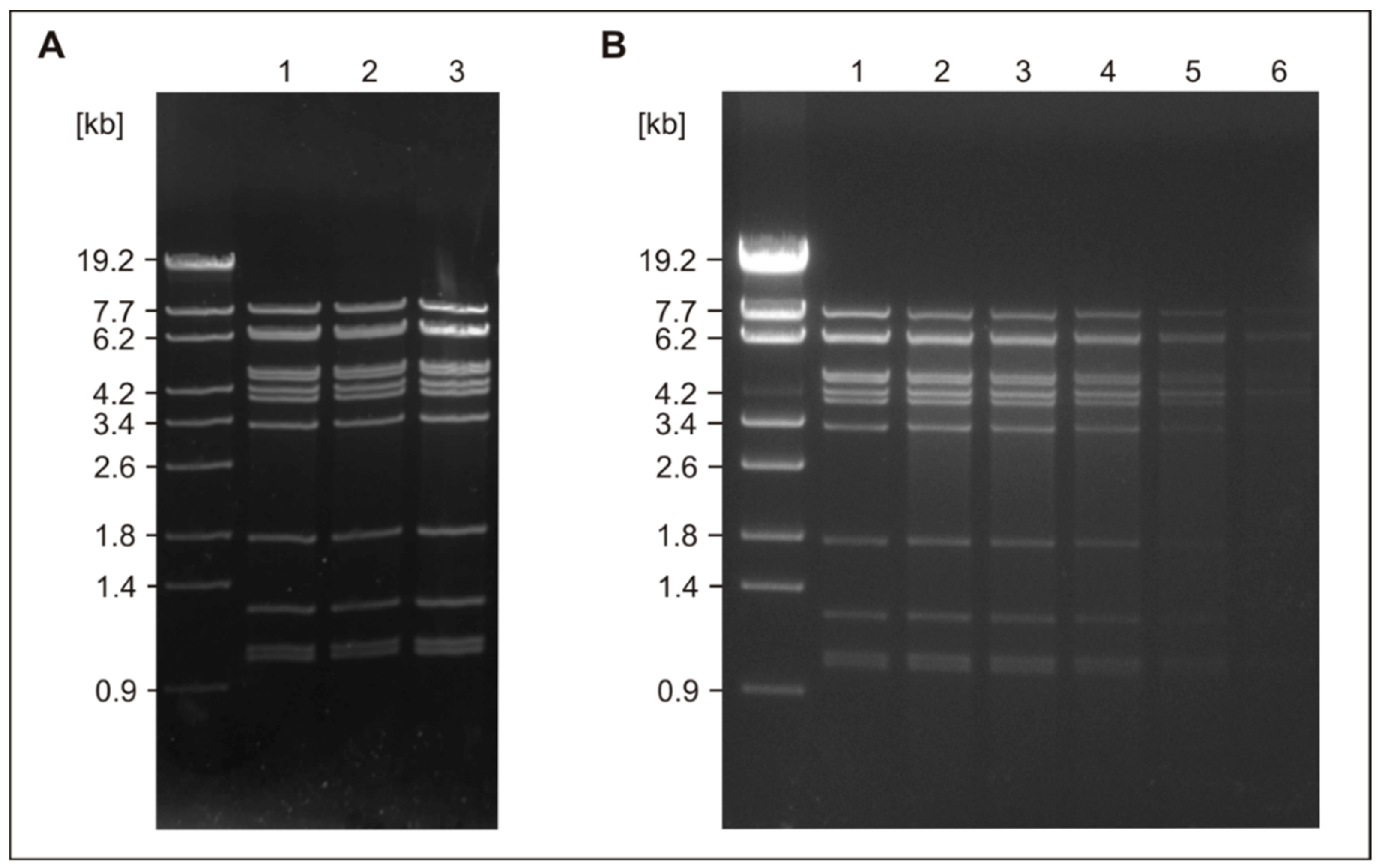 Microorganisms 10 01674 g004 Microorganisms 10 01674 g004