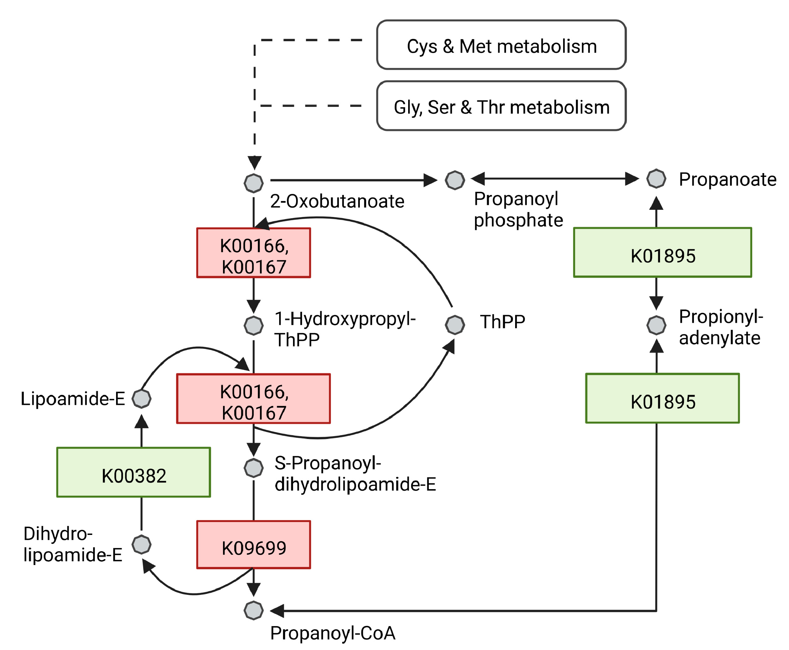 Microorganisms 10 01680 g005