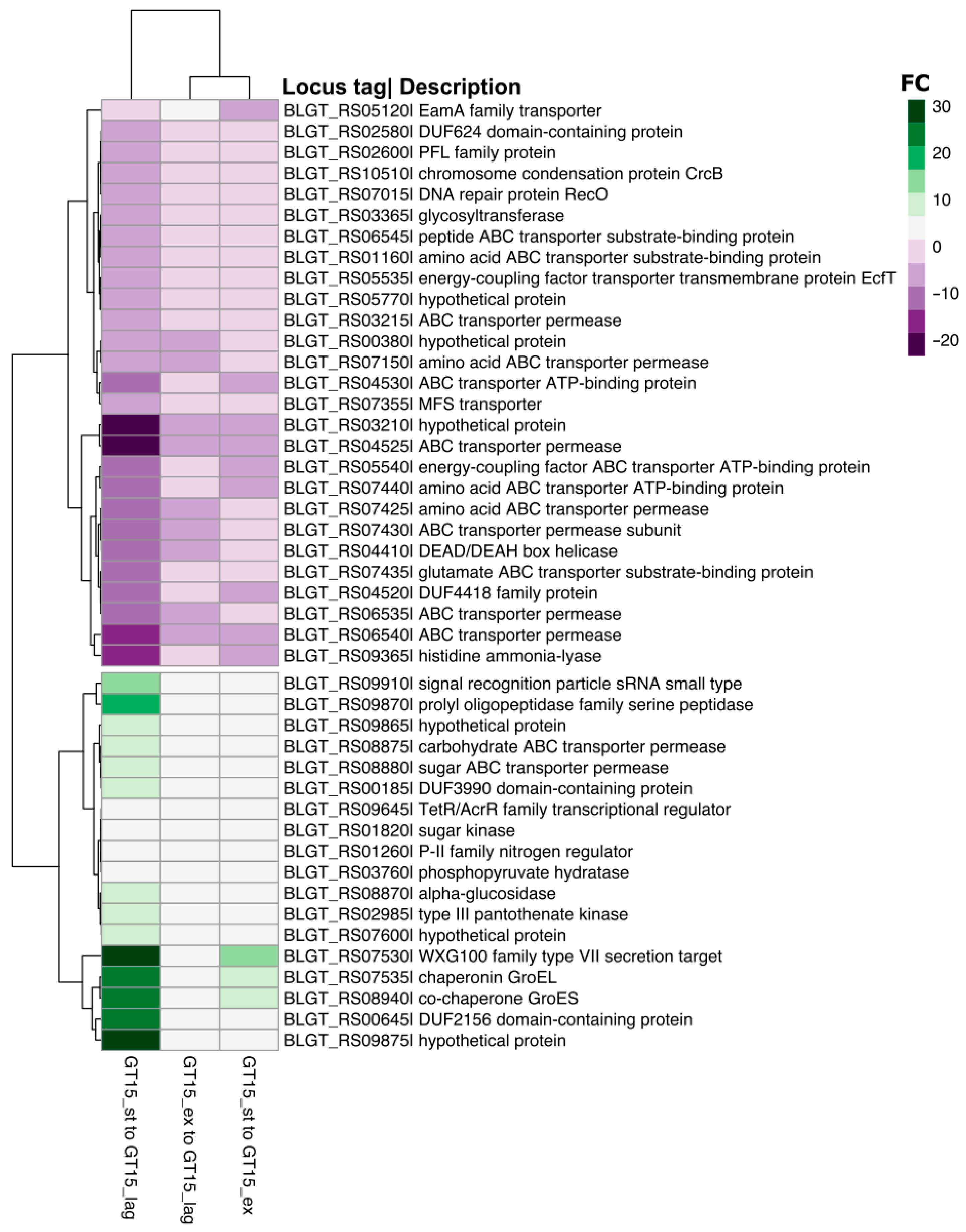 Microorganisms 10 01683 g002
