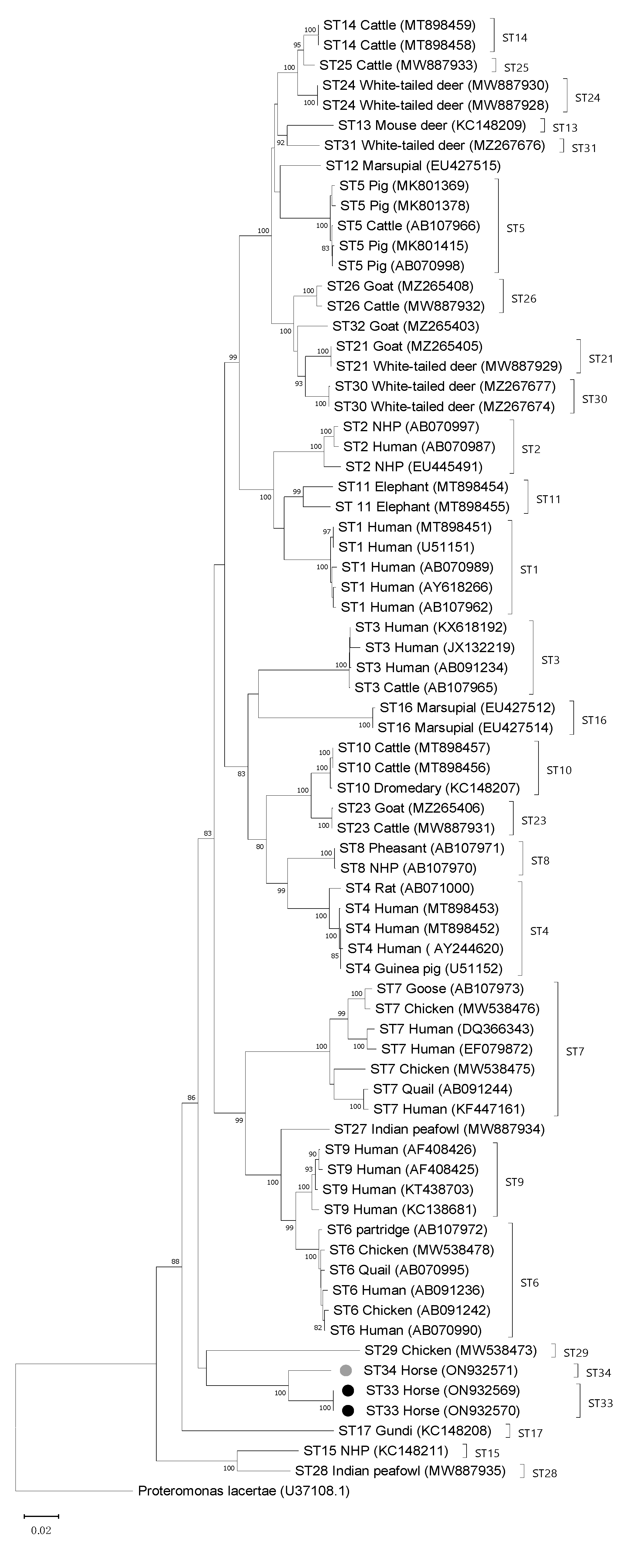 Microorganisms 10 01693 g001