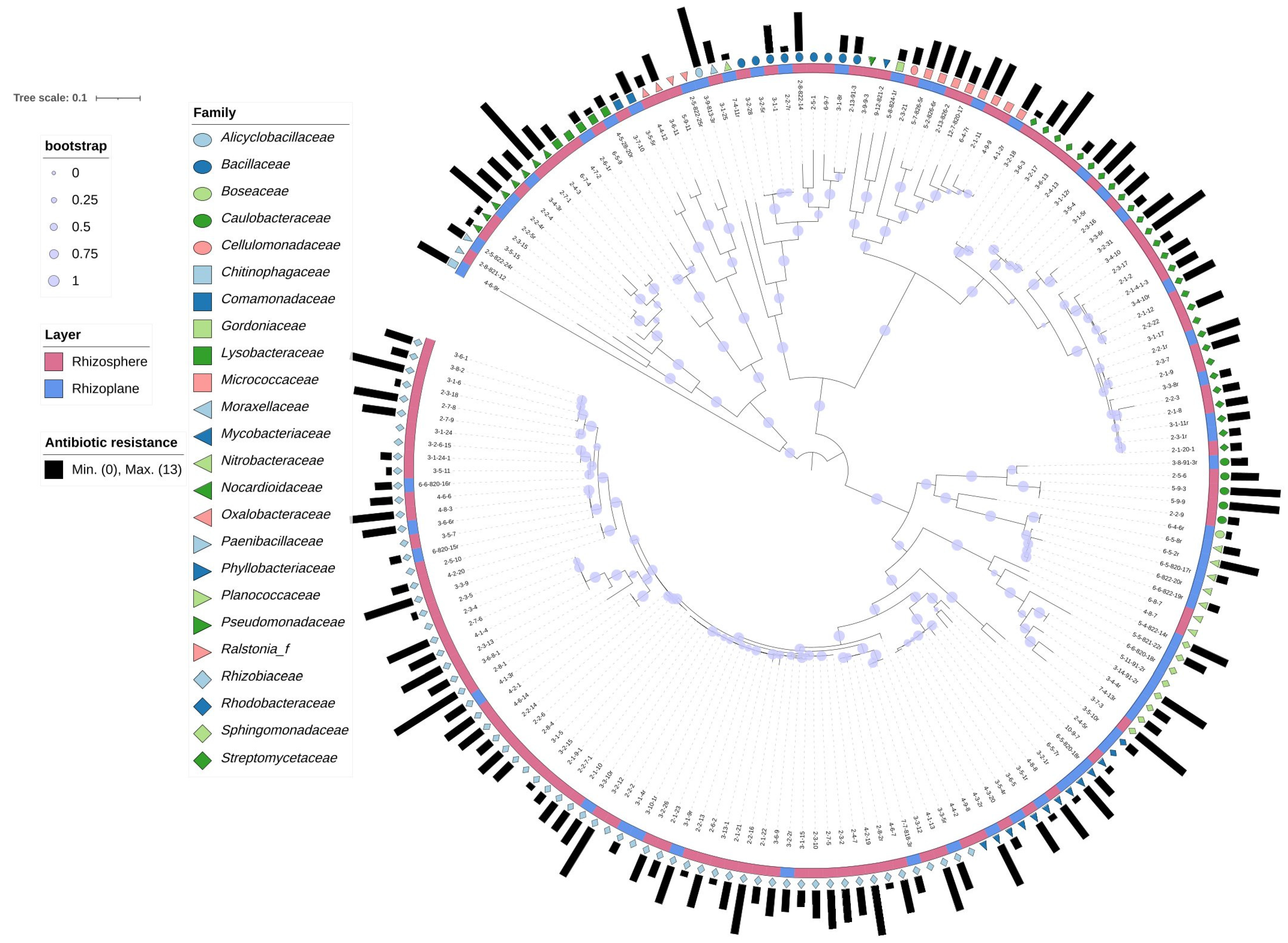 Microorganisms 10 01708 g002