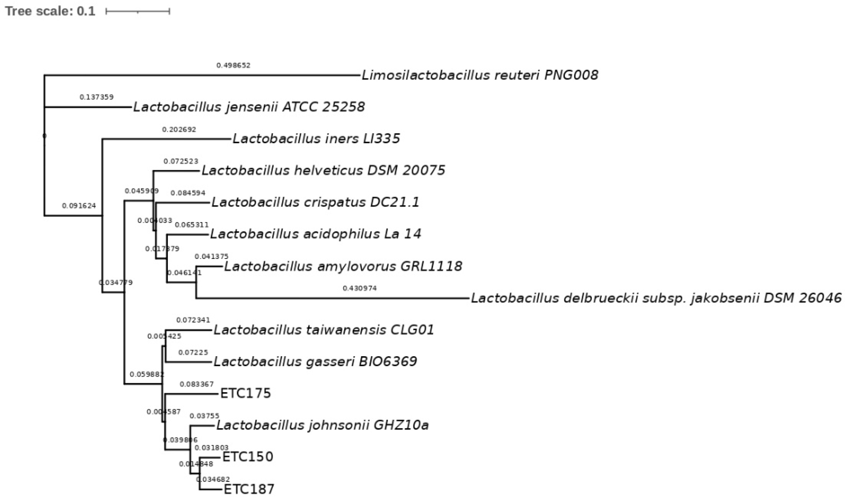 Microorganisms 10 01732 g004