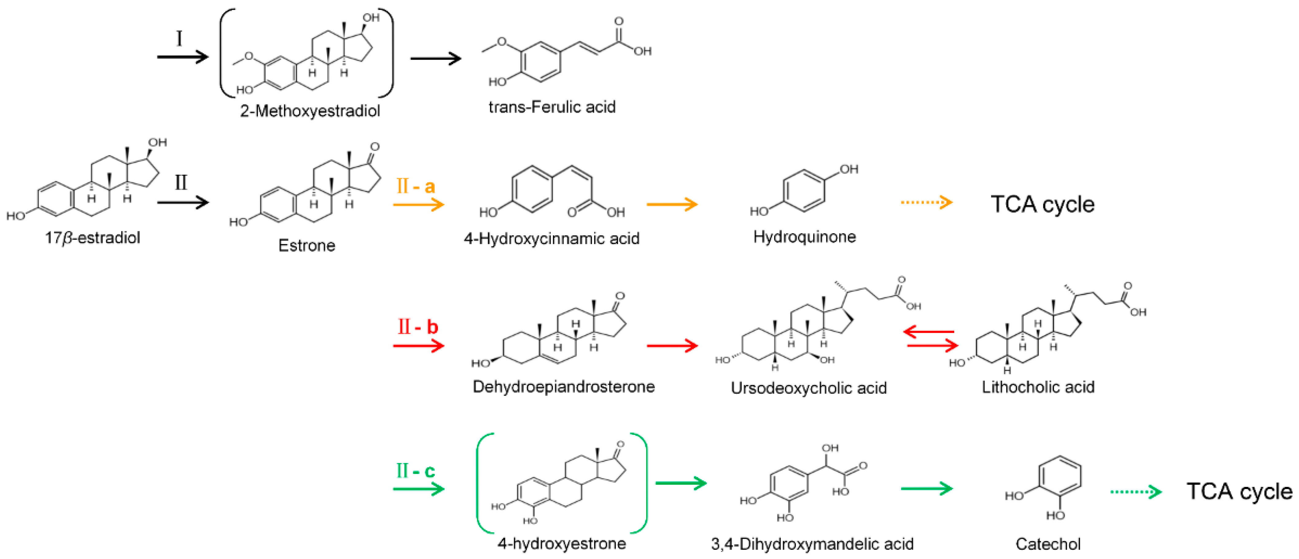 Microorganisms 10 01745 g008