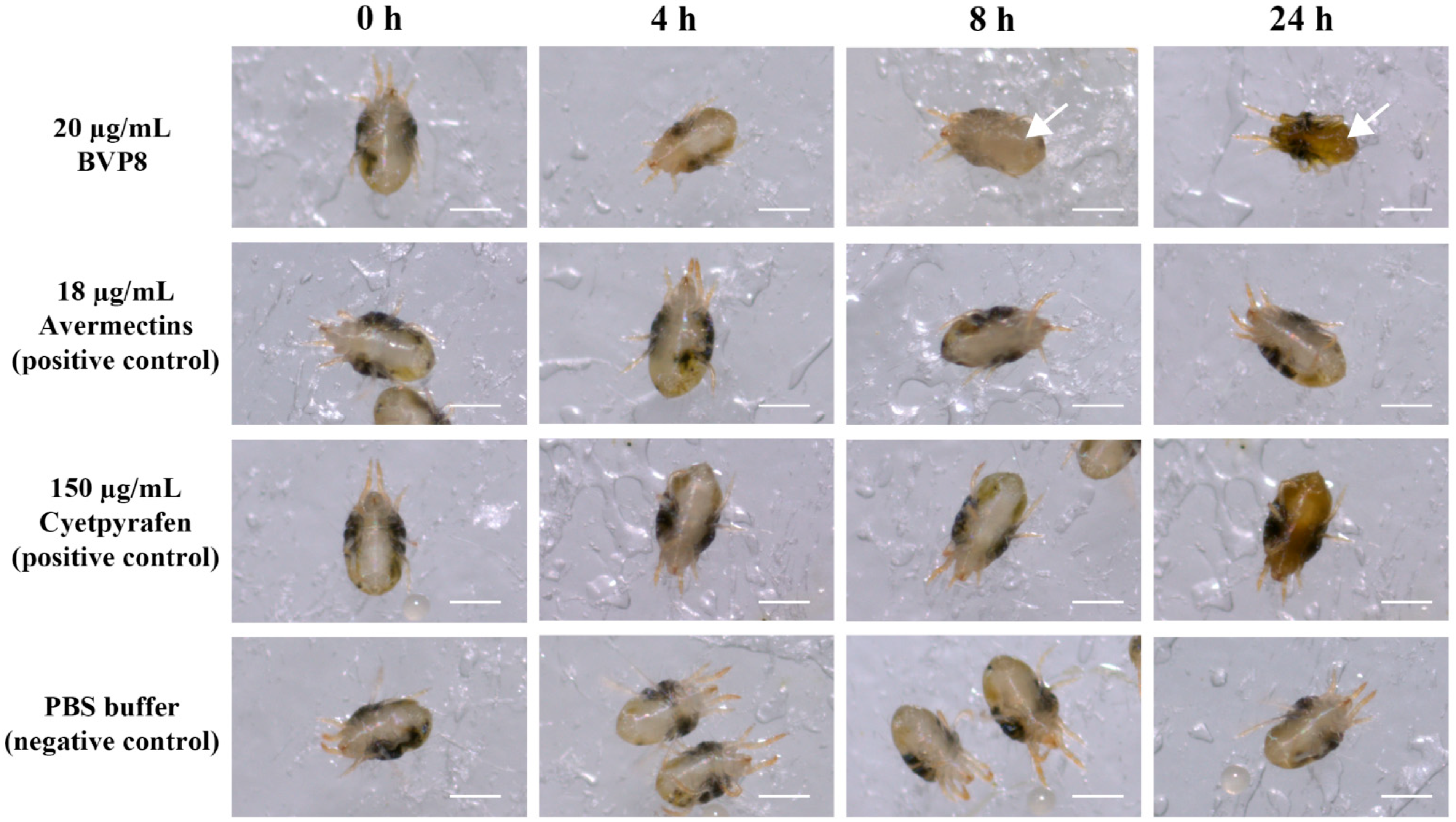 Microorganisms 10 01750 g003