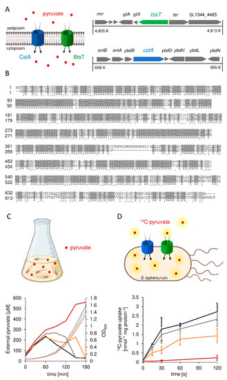 Microorganisms | Free Full-Text | The Biological Significance of