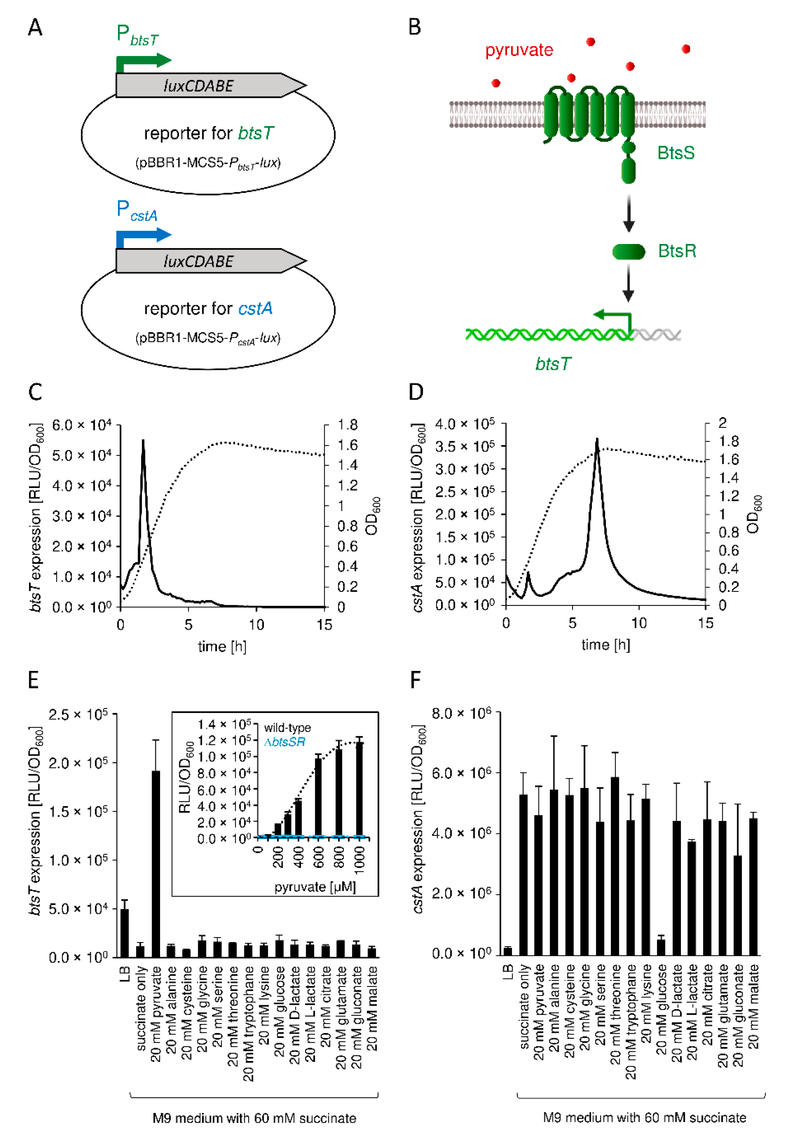 Microorganisms 10 01751 g002