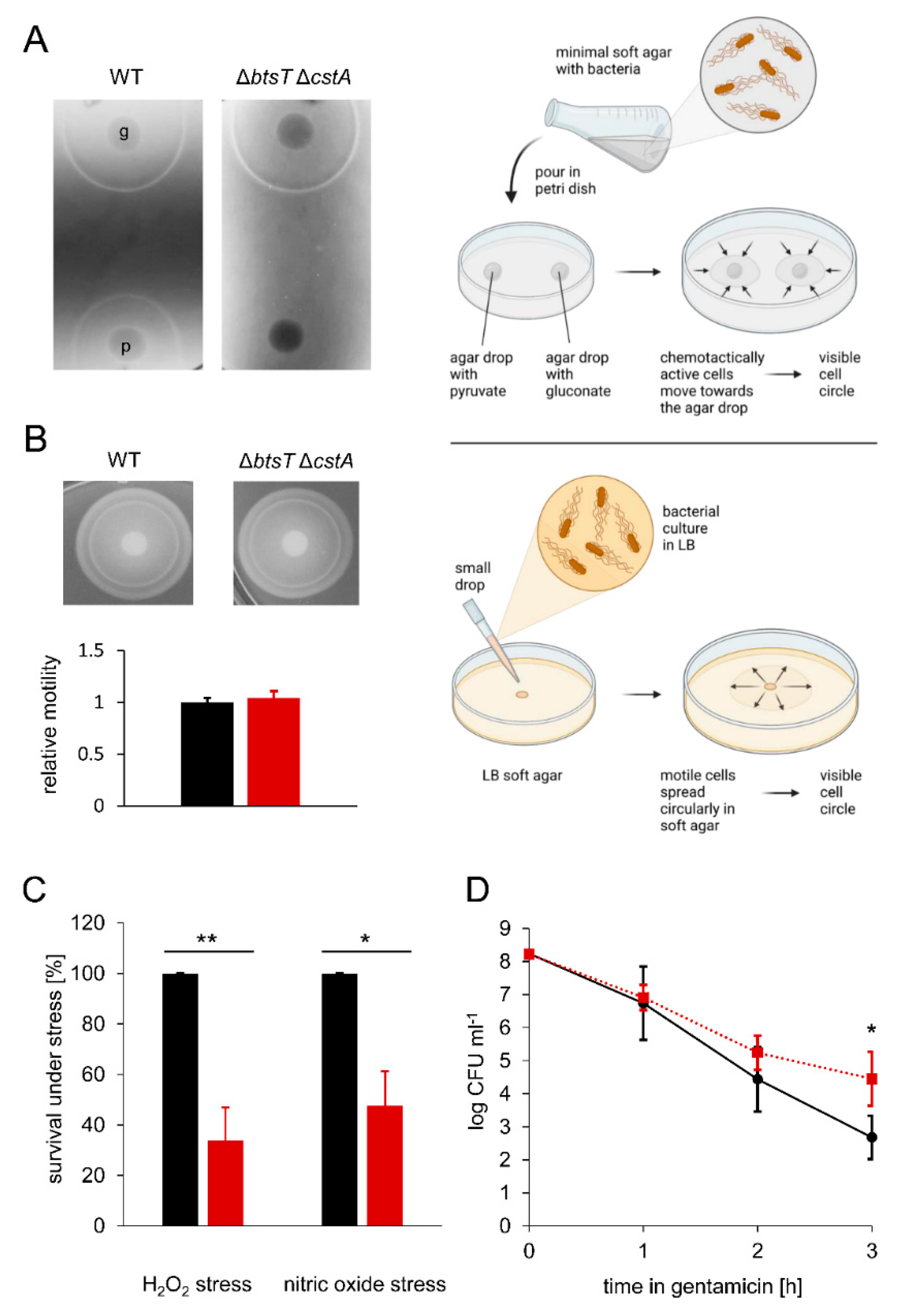 Microorganisms 10 01751 g004