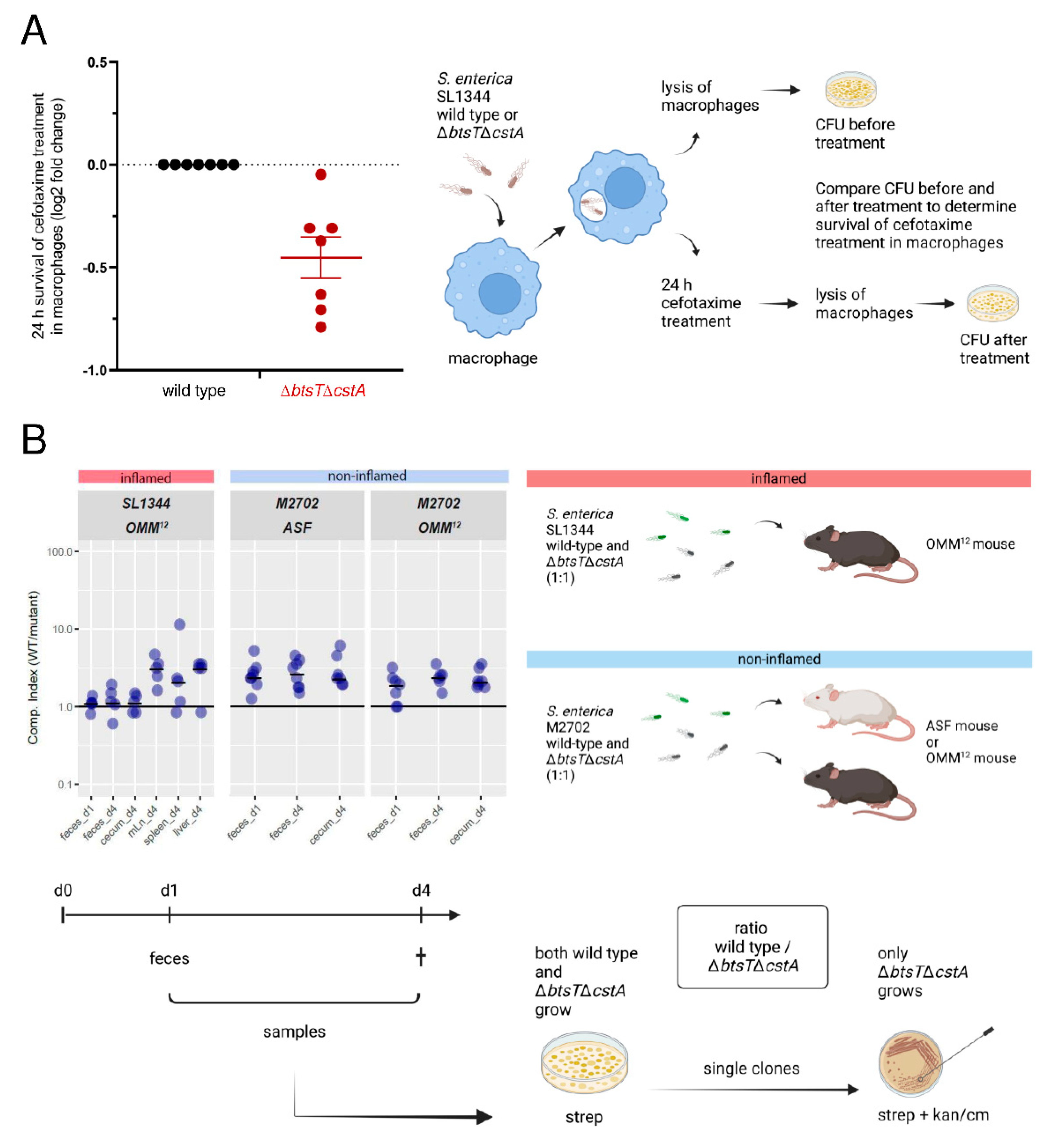 Microorganisms 10 01751 g005