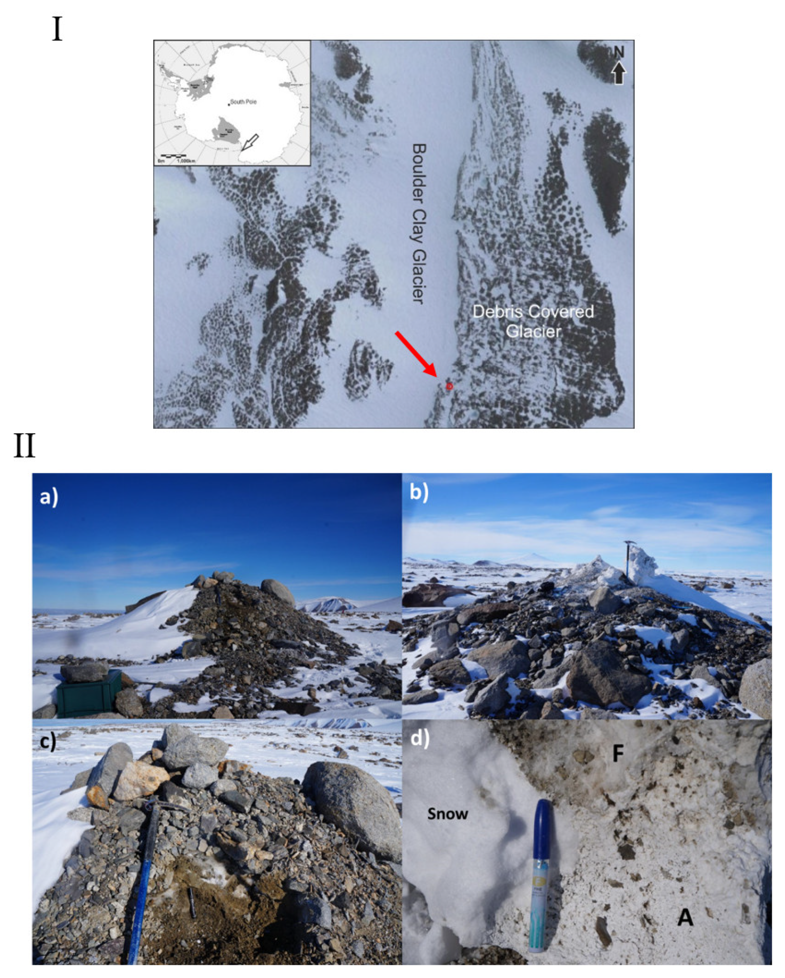 Microorganisms | Free Full-Text | Antarctic Salt-Cones: An Oasis of  Microbial Life? The Example of Boulder Clay Glacier (Northern Victoria Land)