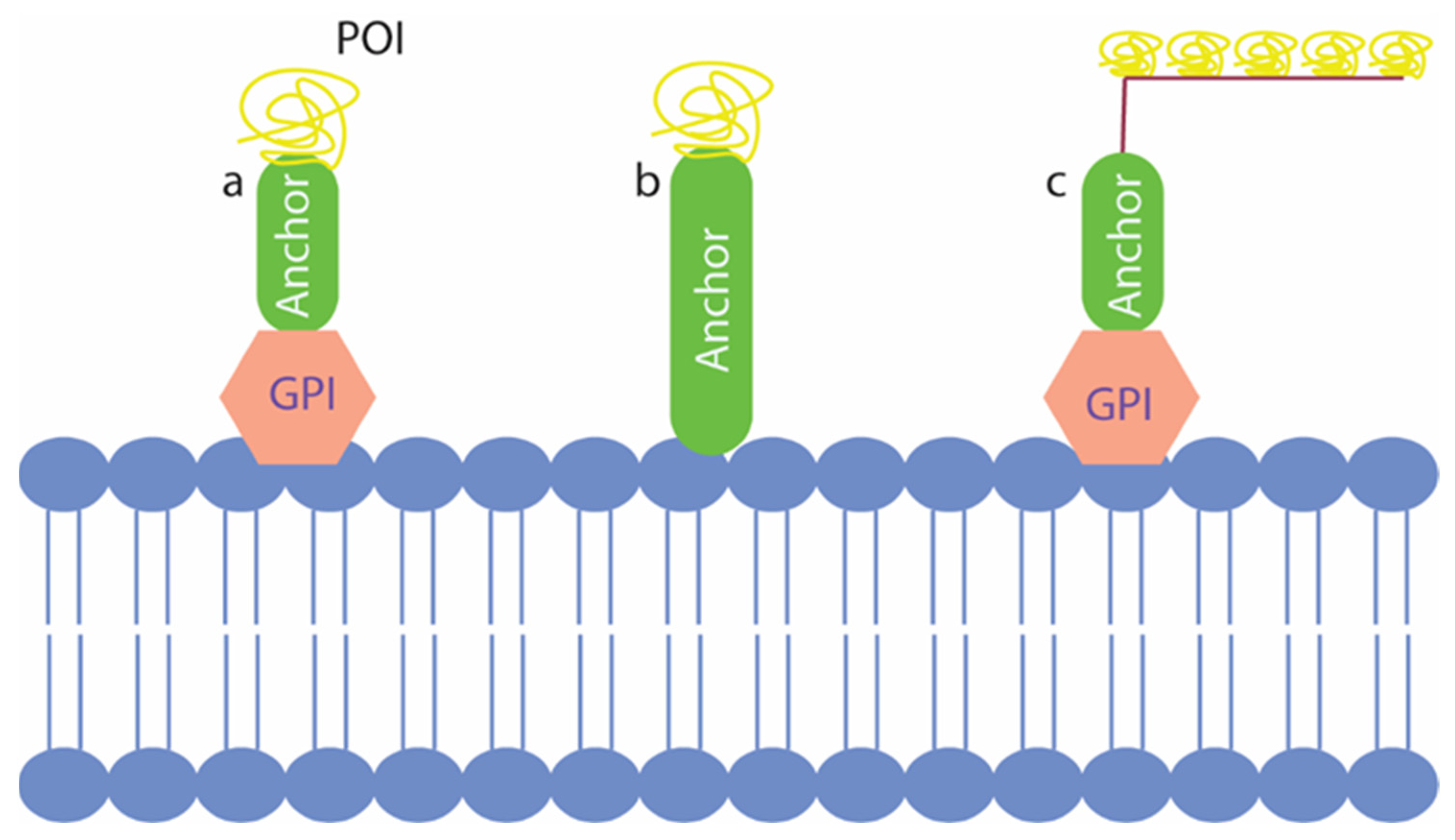Microorganisms 10 01772 g002 Microorganisms 10 01772 g002