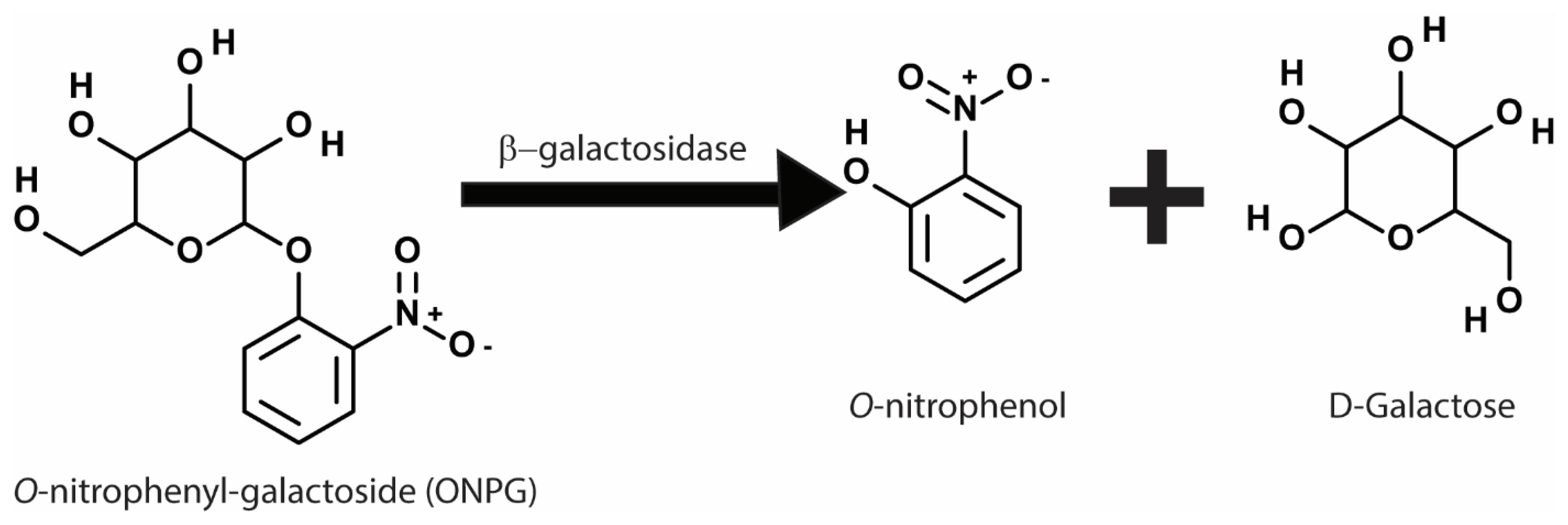 Microorganisms 10 01772 g003 Microorganisms 10 01772 g003