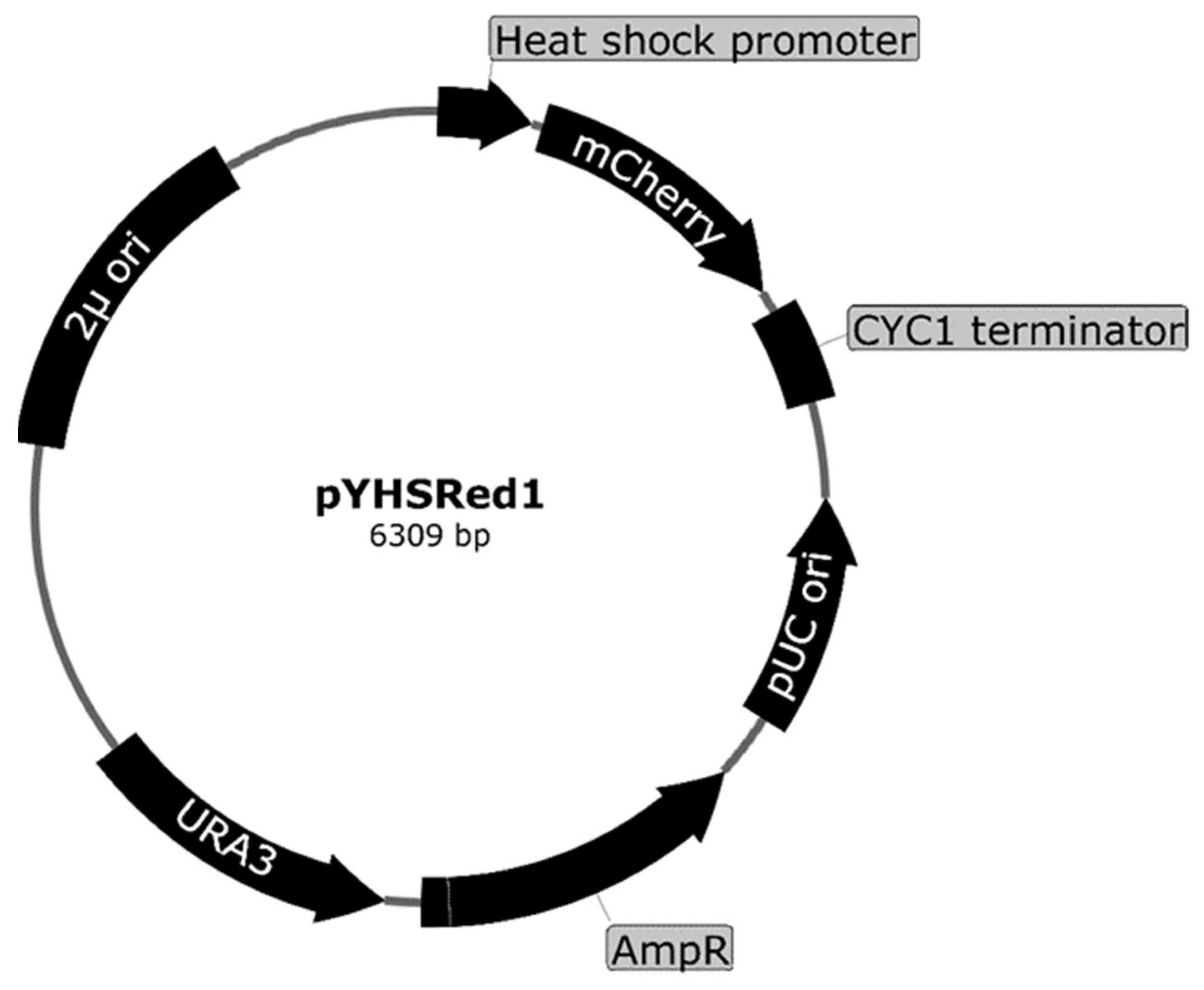 Microorganisms 10 01772 g006 Microorganisms 10 01772 g006