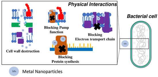 Microorganisms | Free Full-Text | Metal-Based Nanoparticles ...