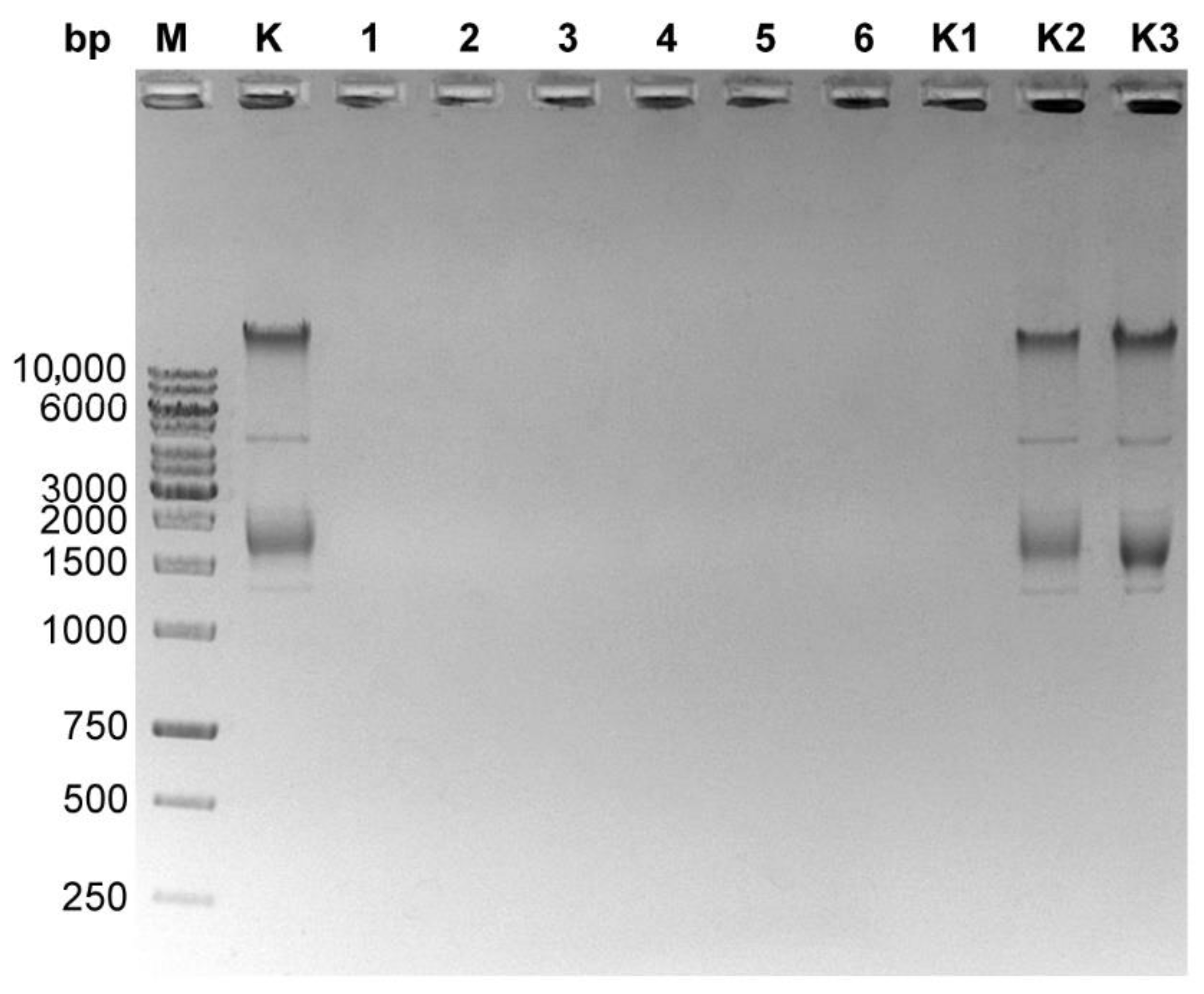 Microorganisms 10 01782 g002
